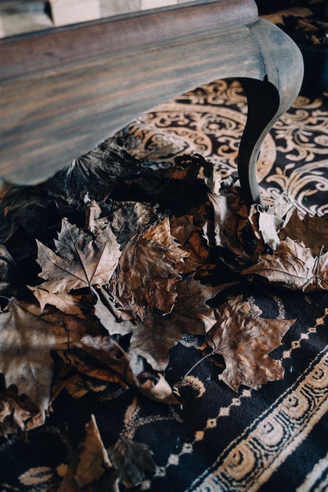 Casamento em Bento Gonçalves - 2 - 212