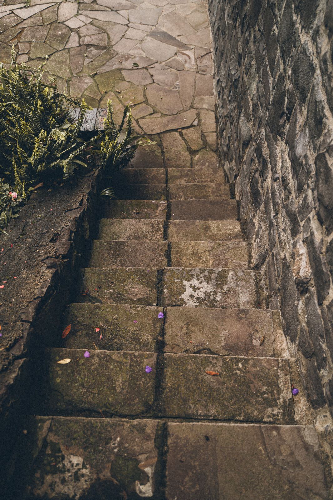 Casamento em Bento Gonçalves - 2 - 47