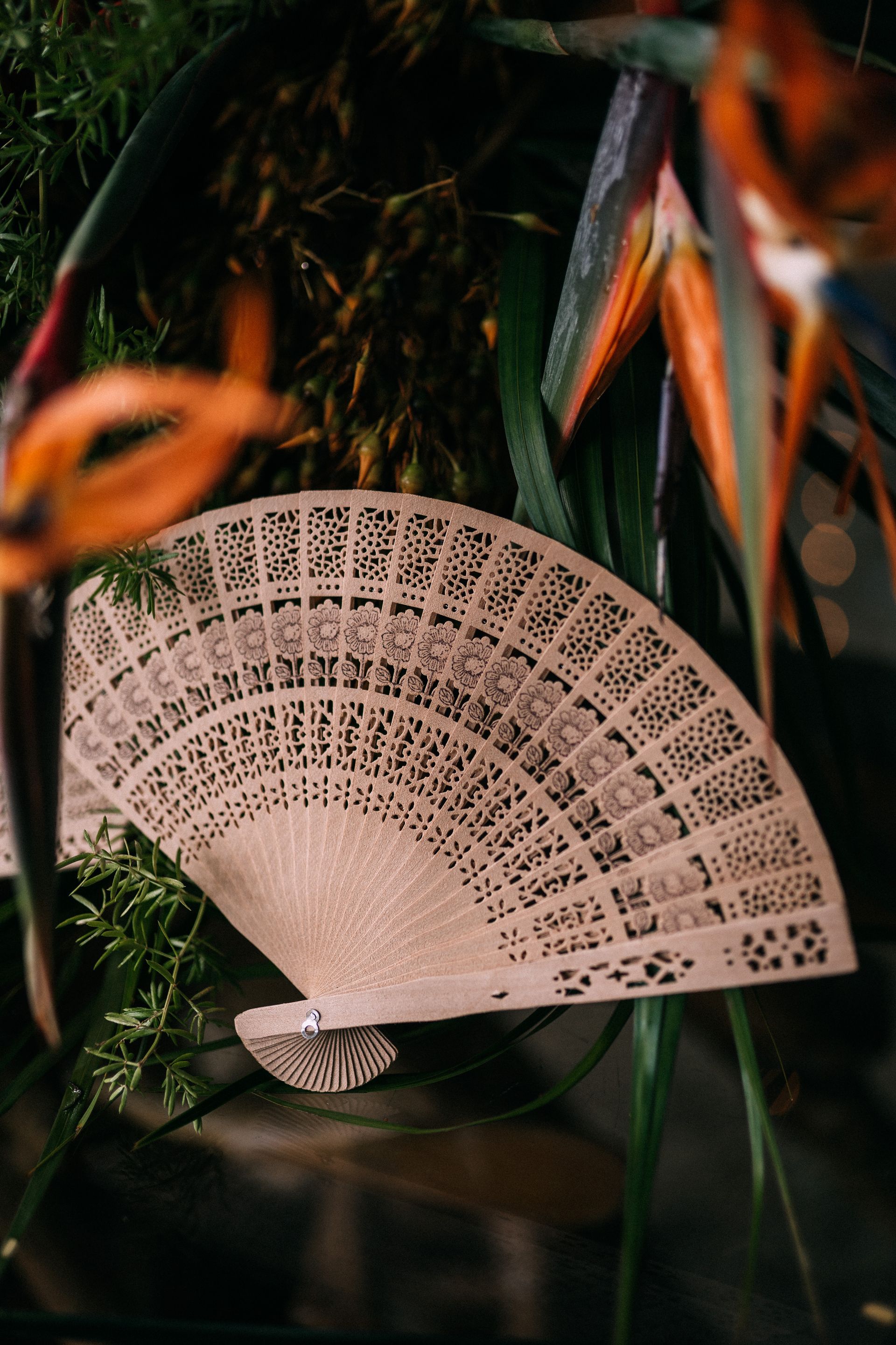 Casamento em Trancoso - 2 - 18