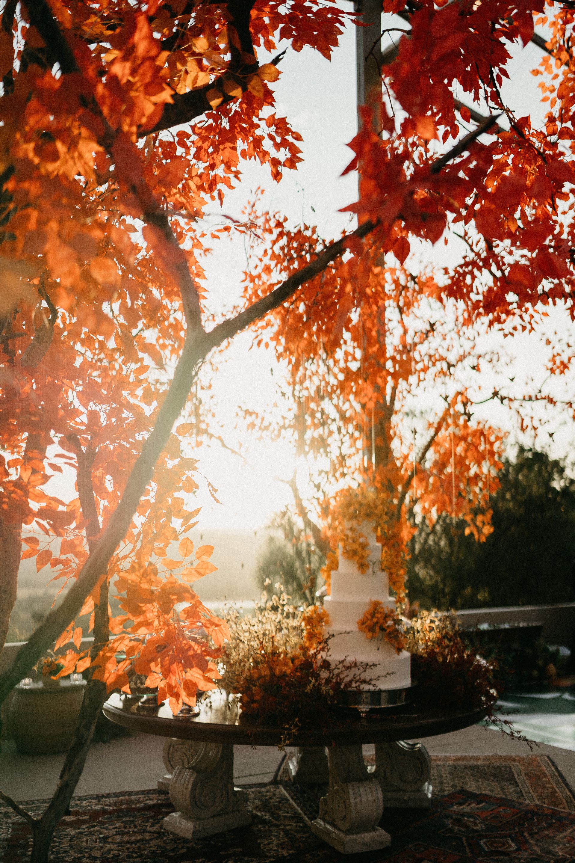 Casamento na Fazenda - 2 - 13