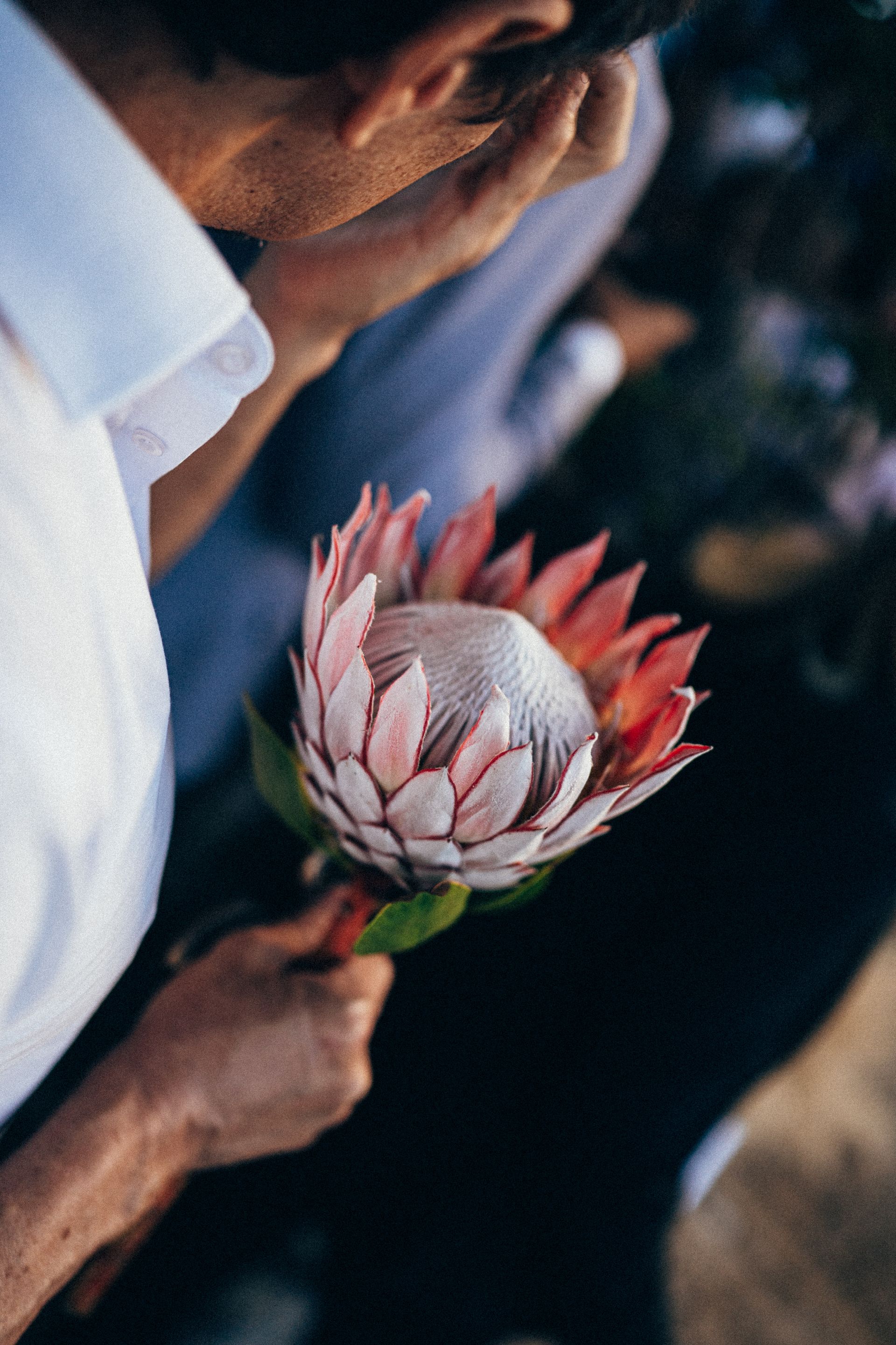 casamento no bistro - 2 - 34