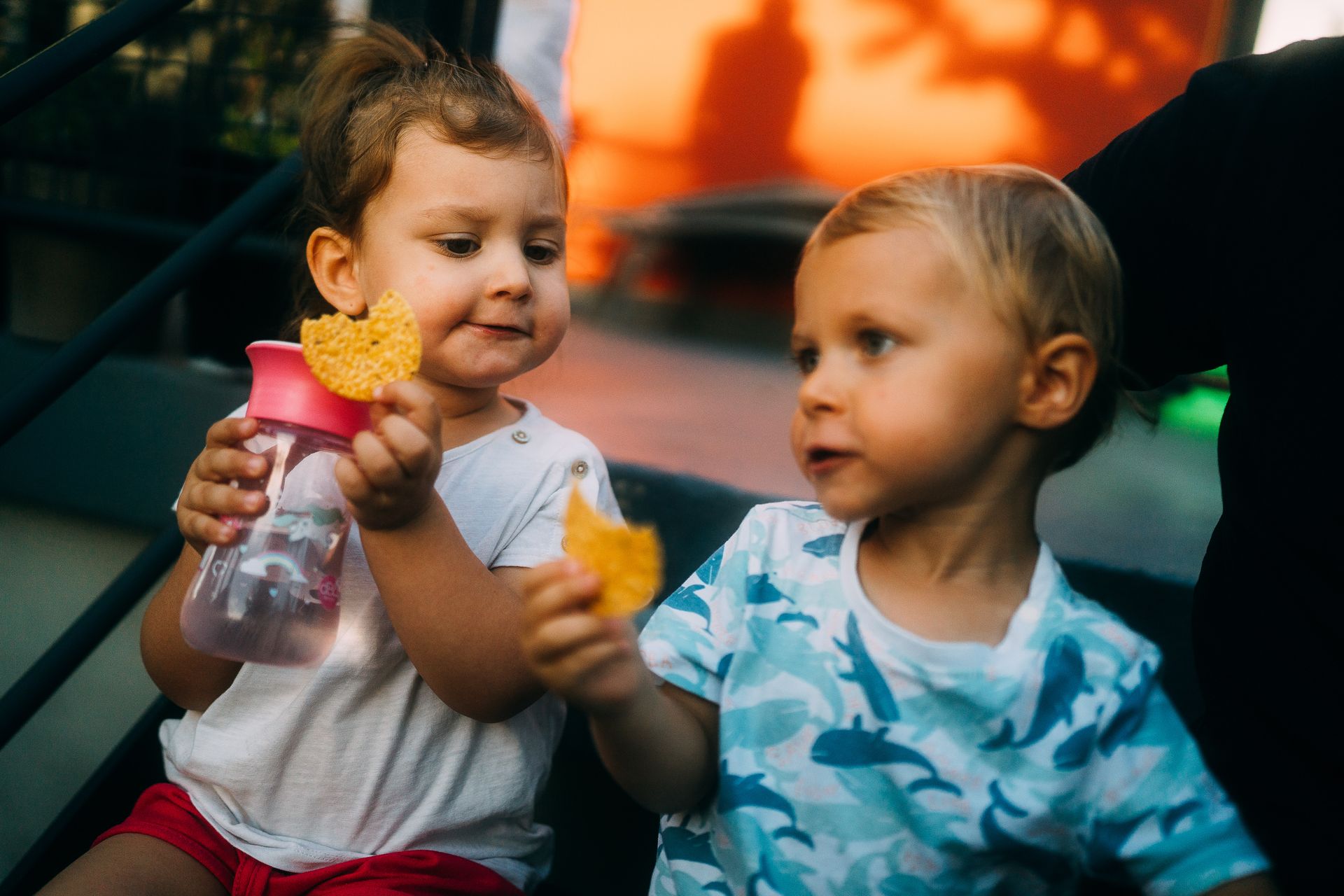 Capturando Memórias de Família de Forma Autêntica em Florianópolis - 2 - 122