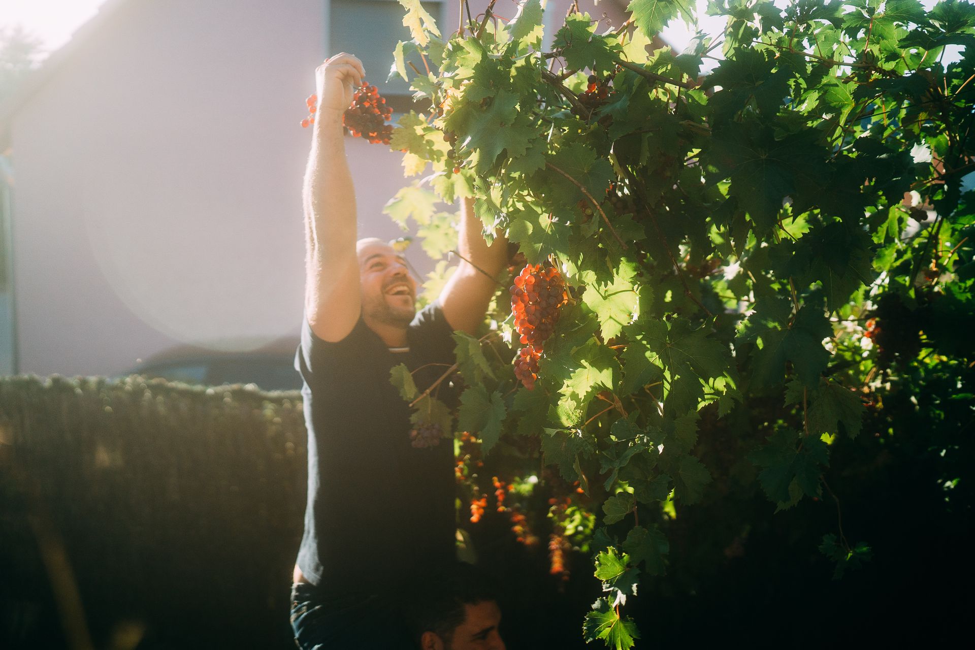 Capturando Memórias de Família de Forma Autêntica em Florianópolis - 2 - 49