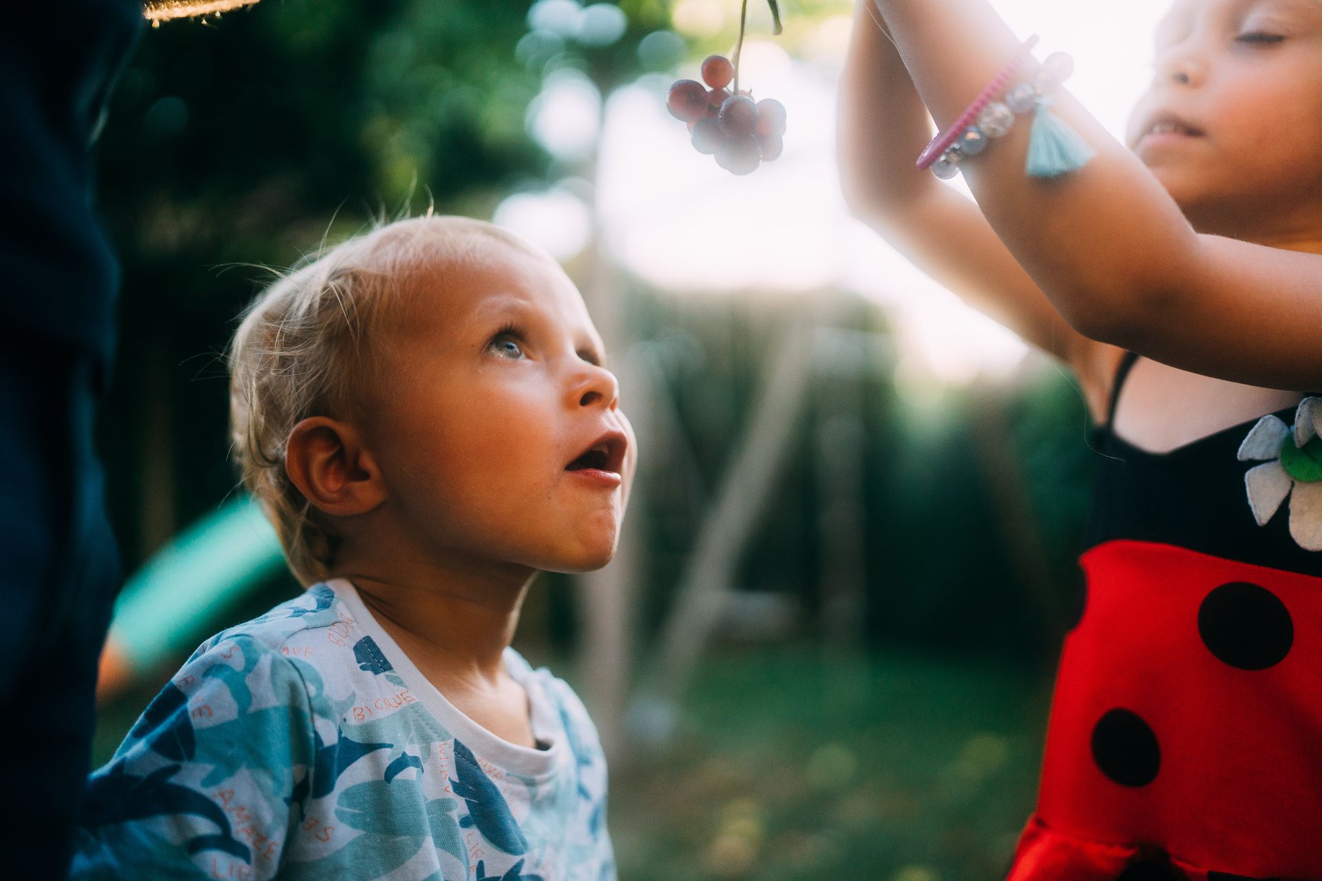 Capturando Memórias de Família de Forma Autêntica em Florianópolis - 2 - 55