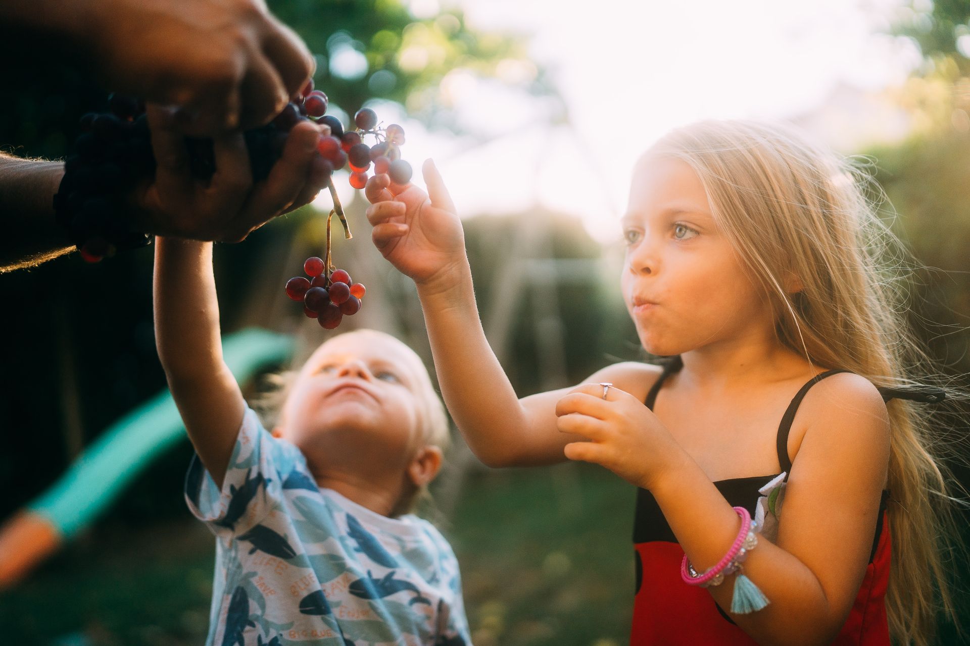 Capturando Memórias de Família de Forma Autêntica em Florianópolis - 2 - 56