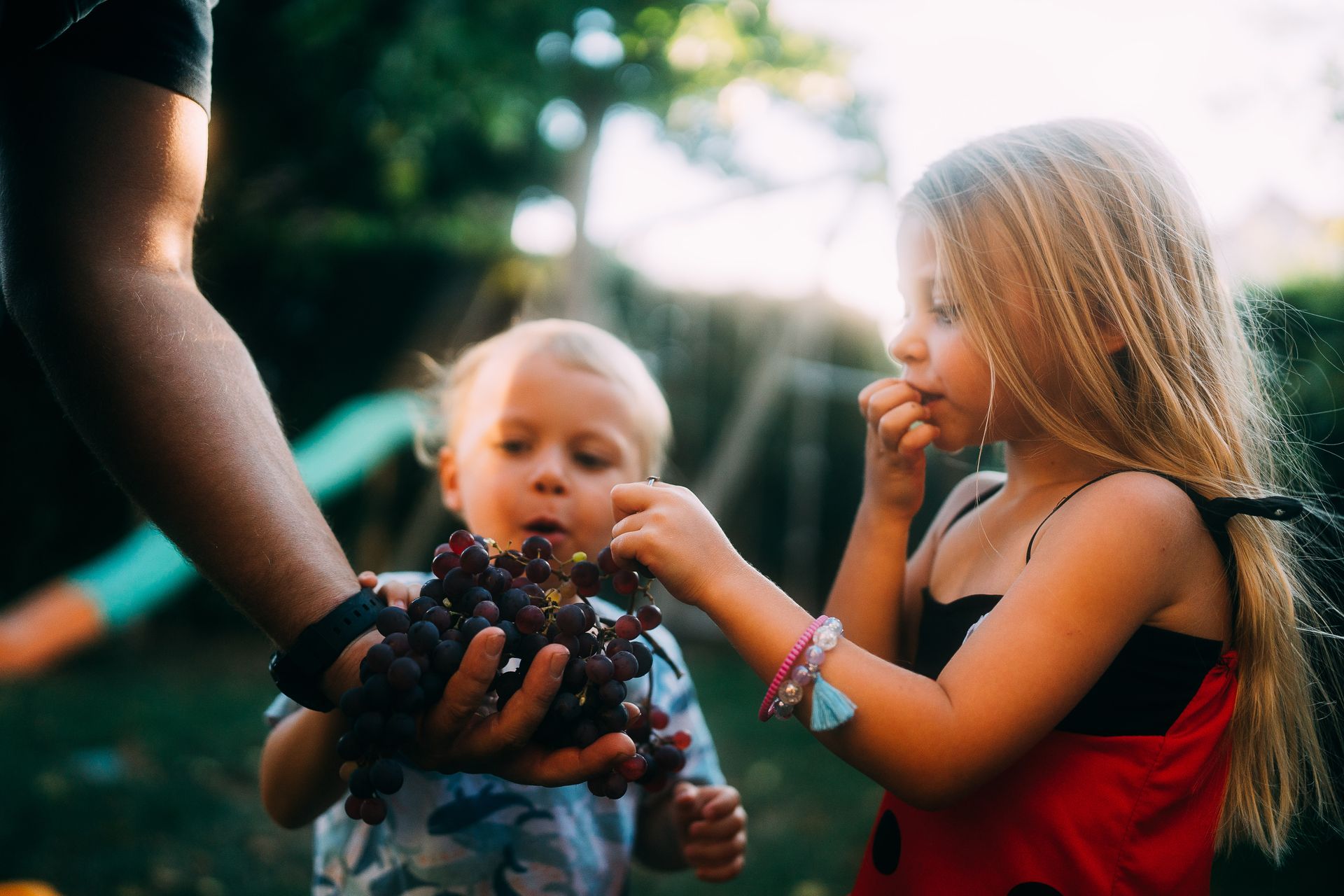 Capturando Memórias de Família de Forma Autêntica em Florianópolis - 2 - 61