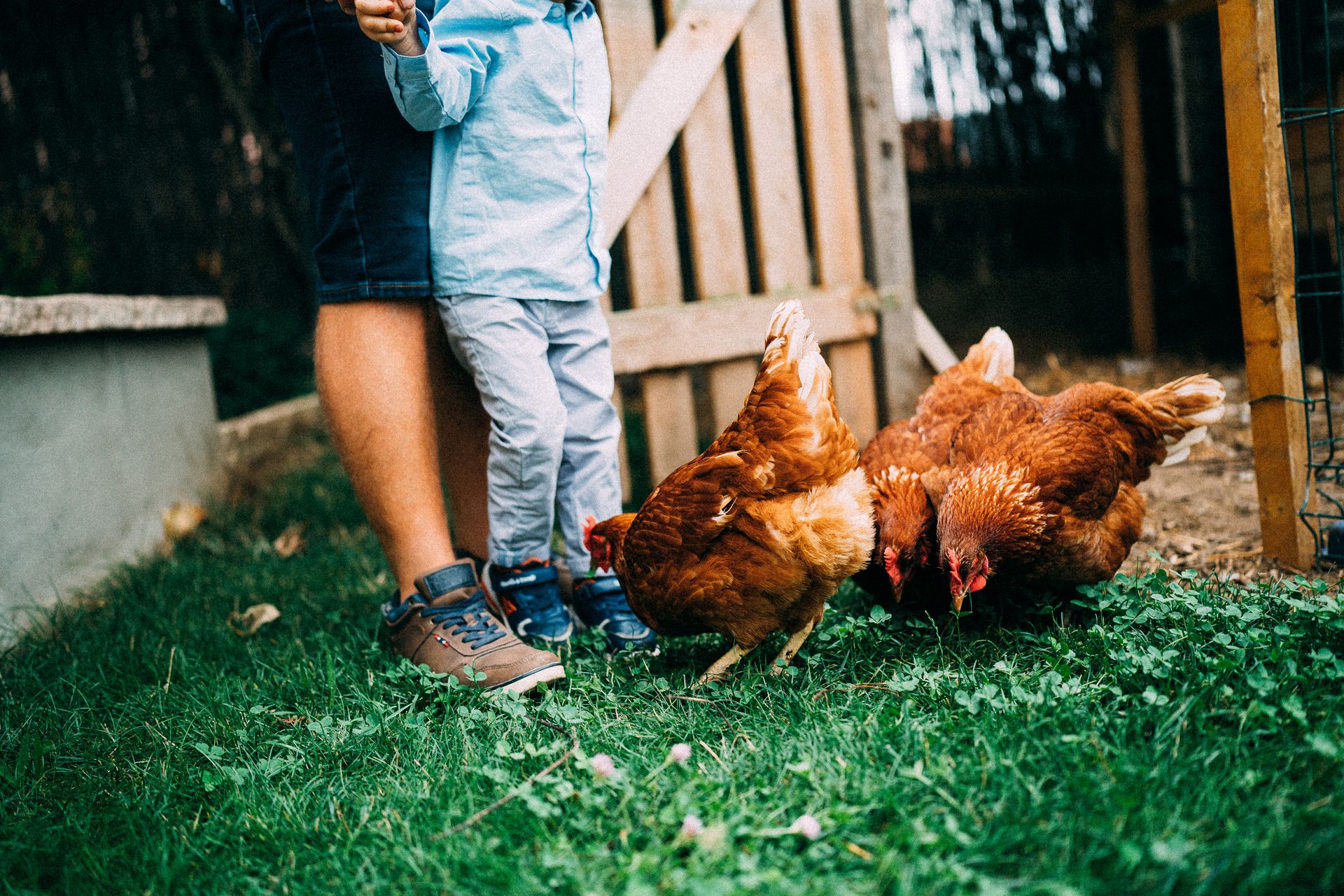 A real beleza está na bagunça: - 2 - 29