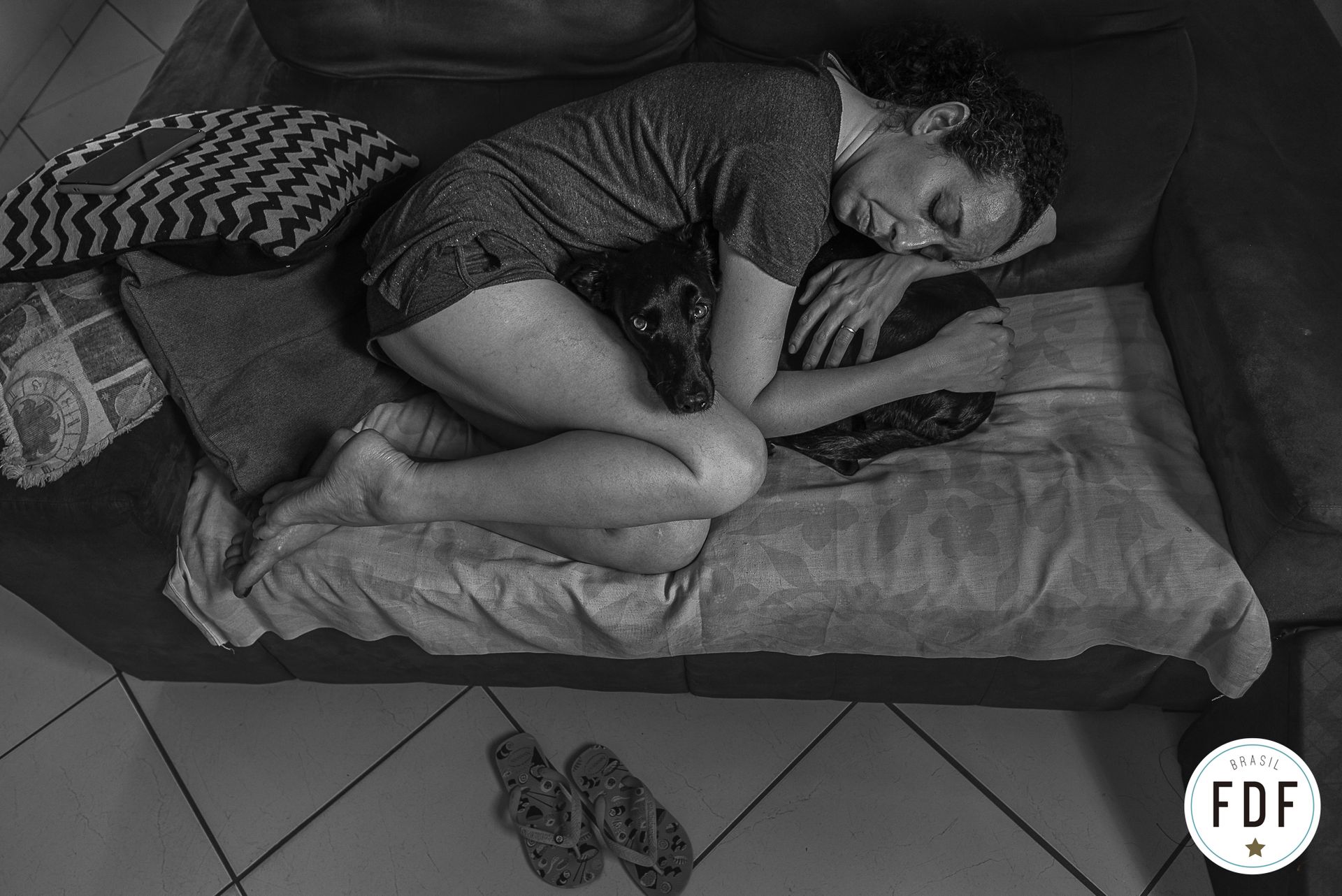 Quarto concurso FDF - 6 - 2