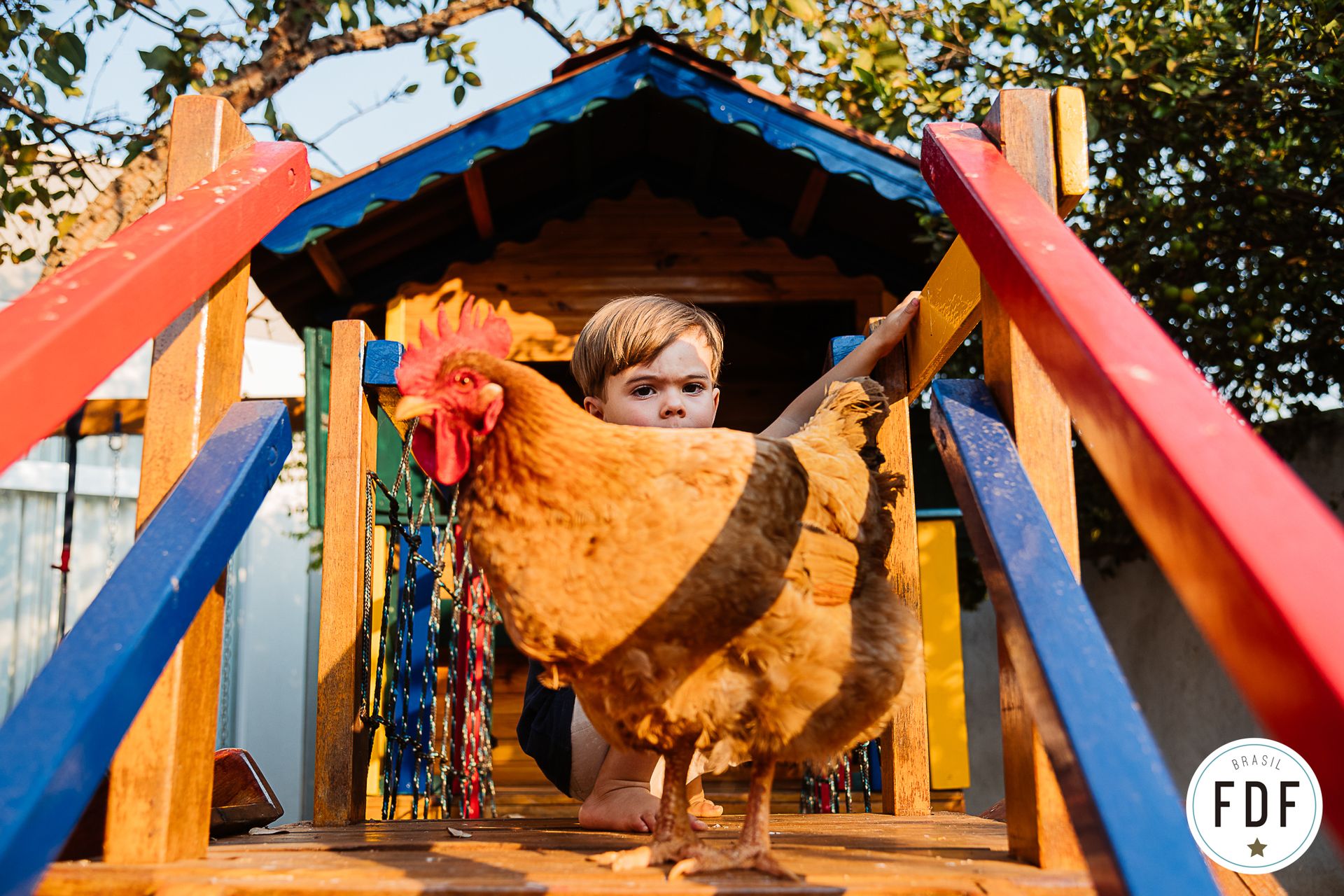 Quarto concurso - Pets - 3 - 4