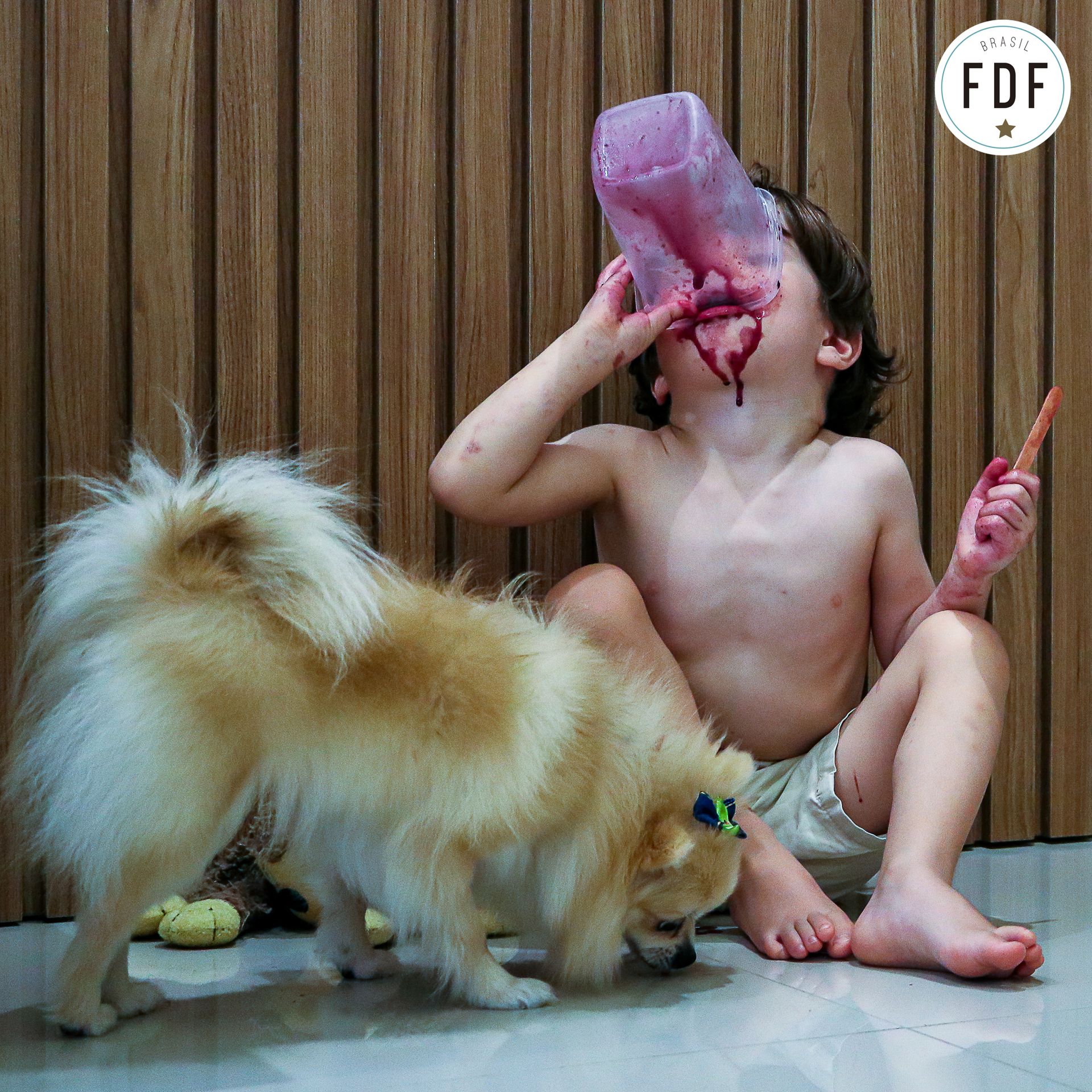 Quarto concurso - Pets - 3 - 3