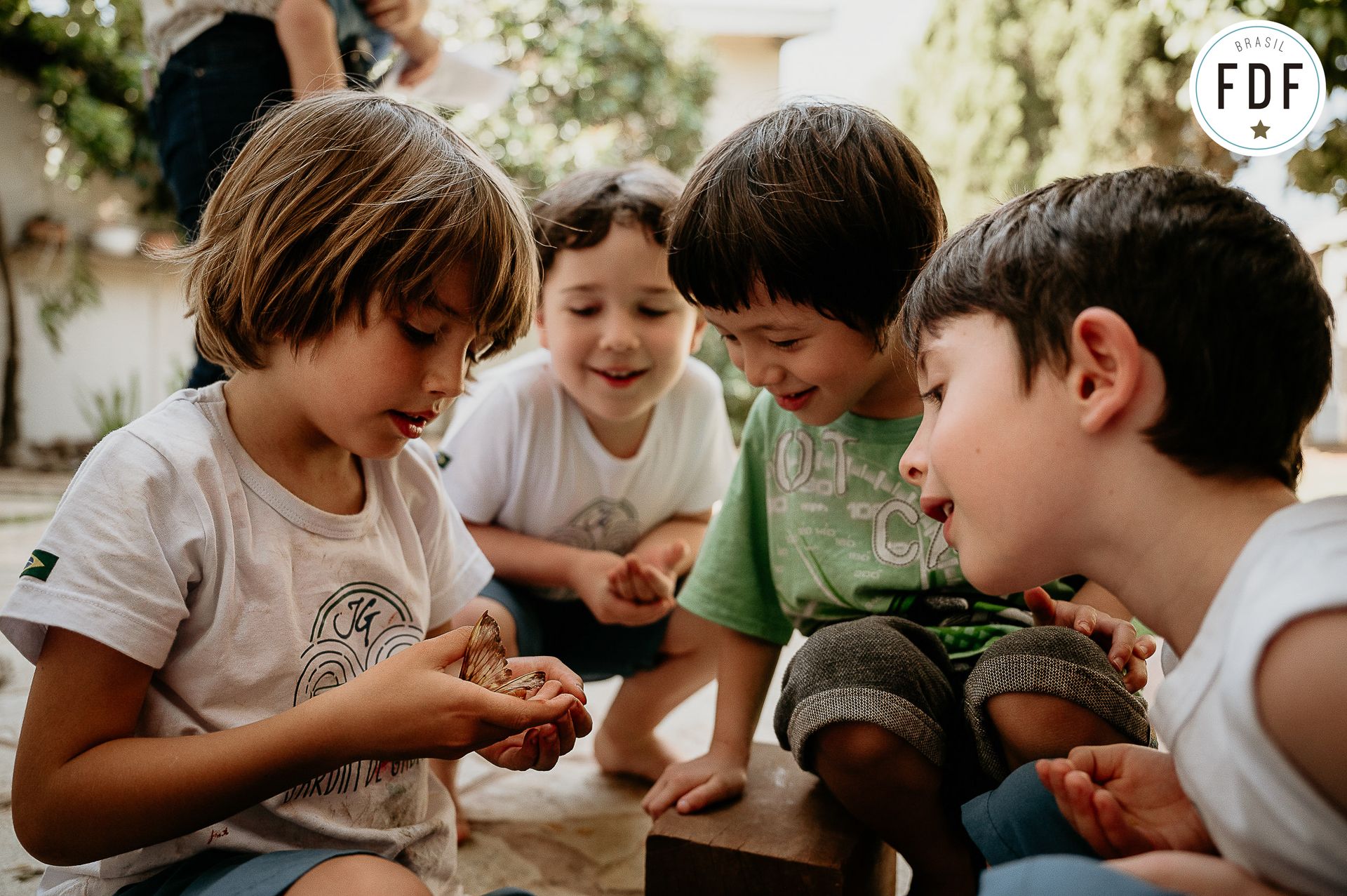 Quarto concurso FDF - 6 - 19