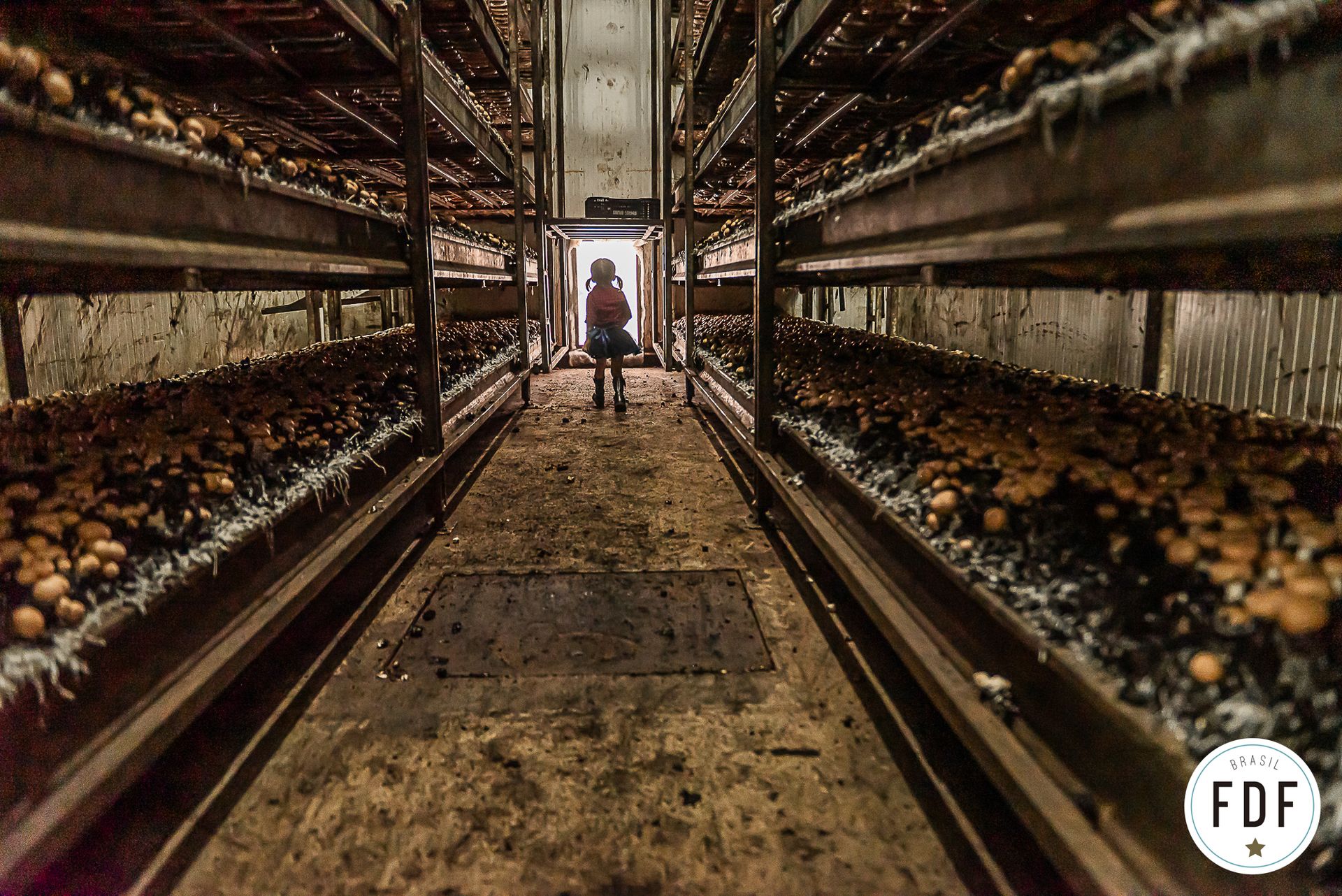 Sétimo concurso FDF - 4 - 7