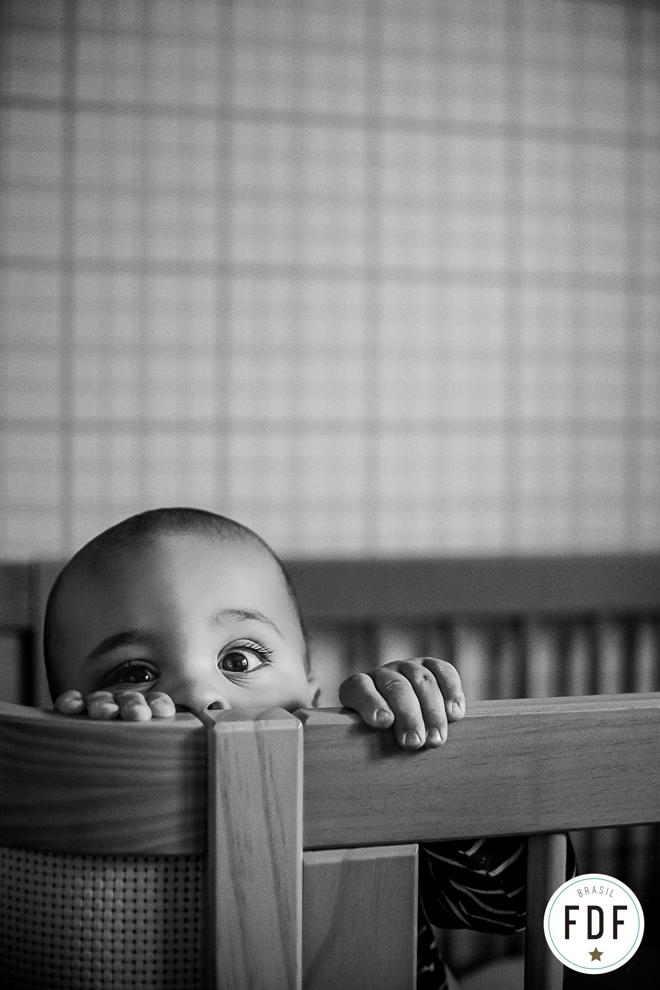 Sétimo concurso FDF - 6 - 2