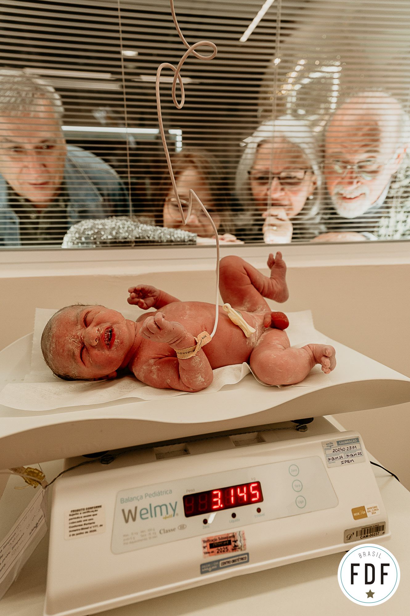 Oitavo concurso FDF - 6 - 2