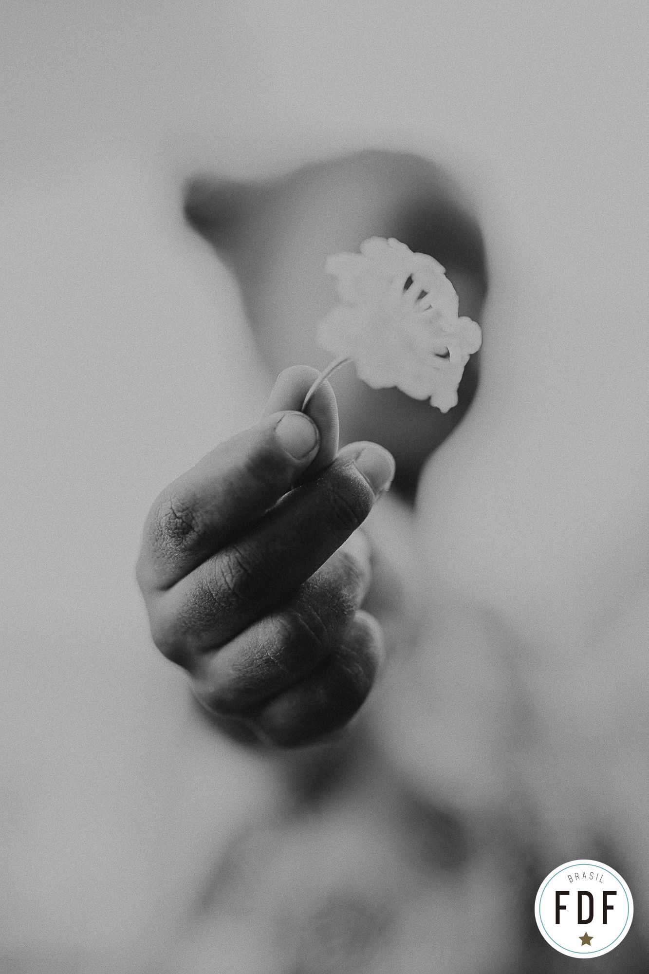 Oitavo concurso FDF - 4 - 14