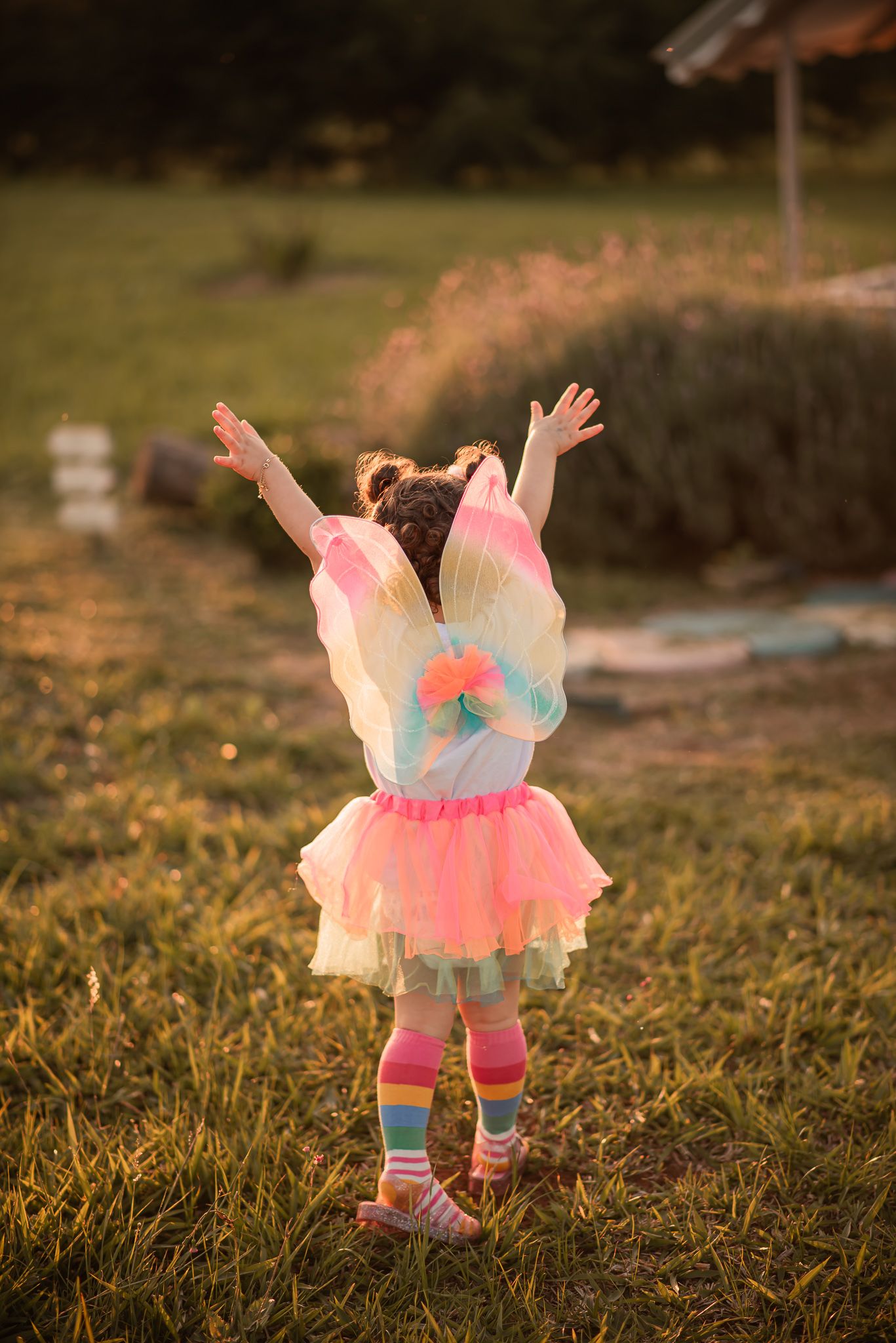 10º concurso FDF - 10 - 3