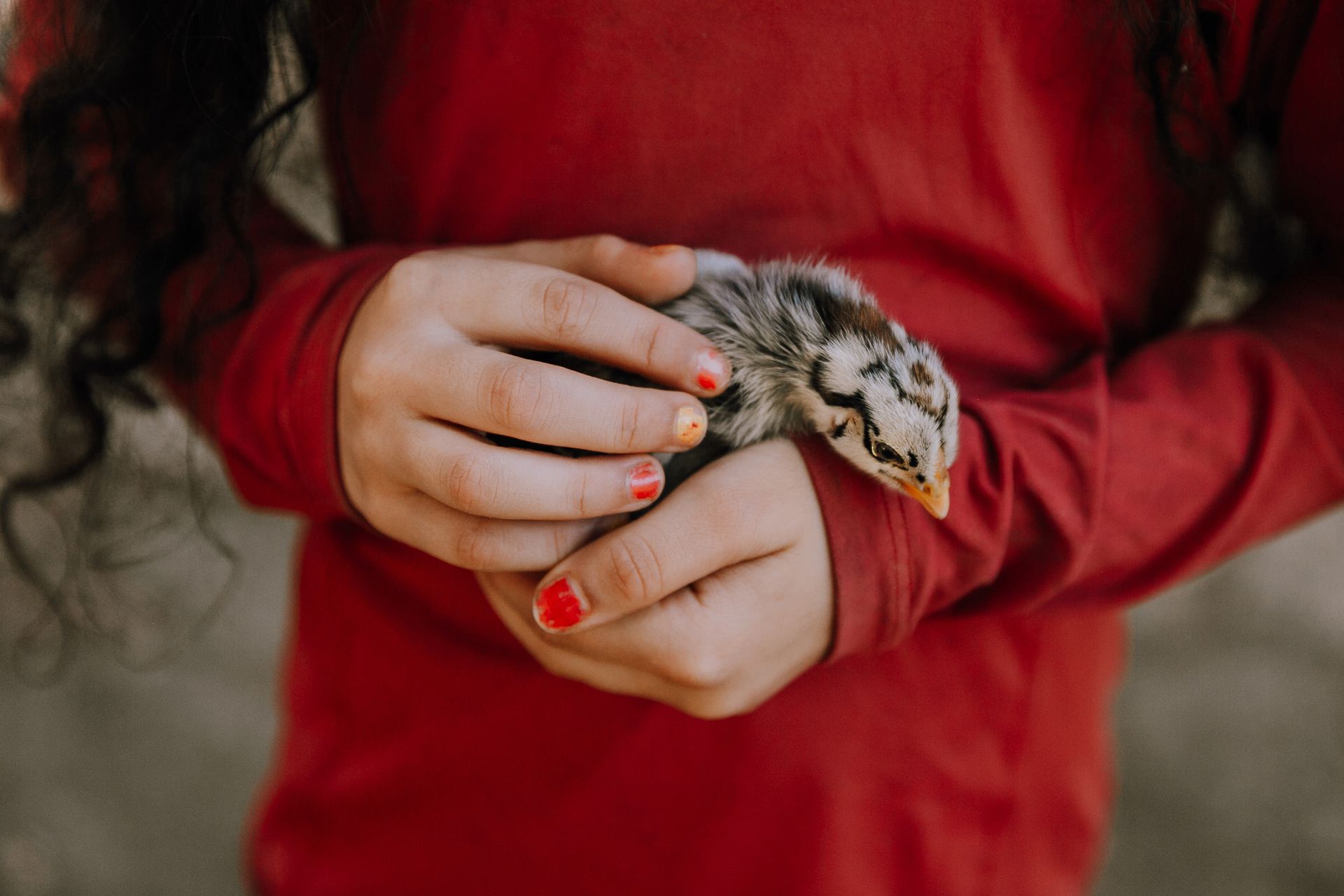 10º concurso FDF - 10 - 1