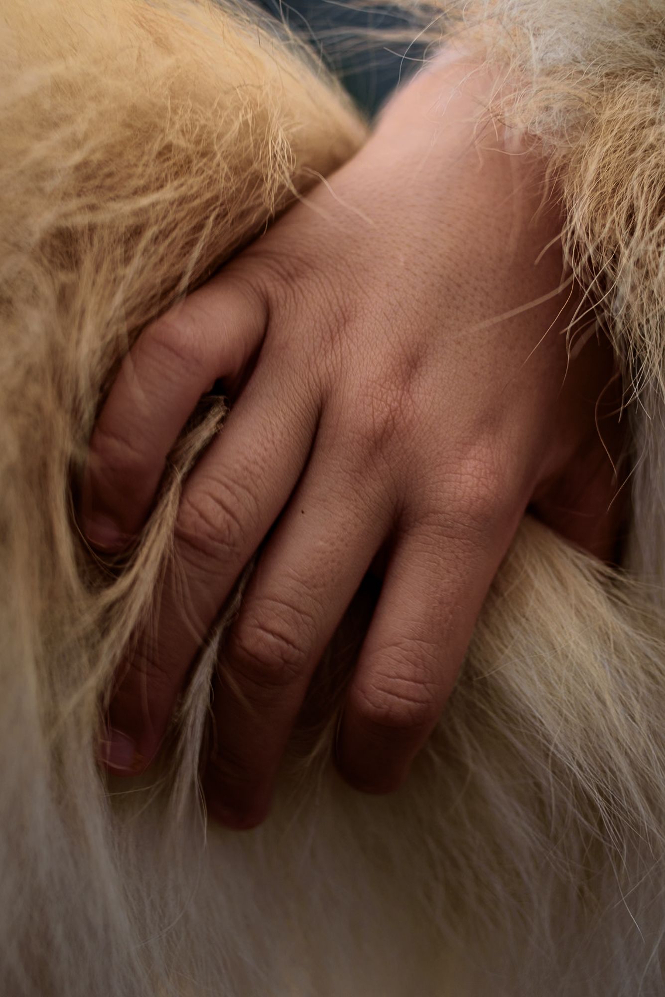 10º concurso FDF - 10 - 4