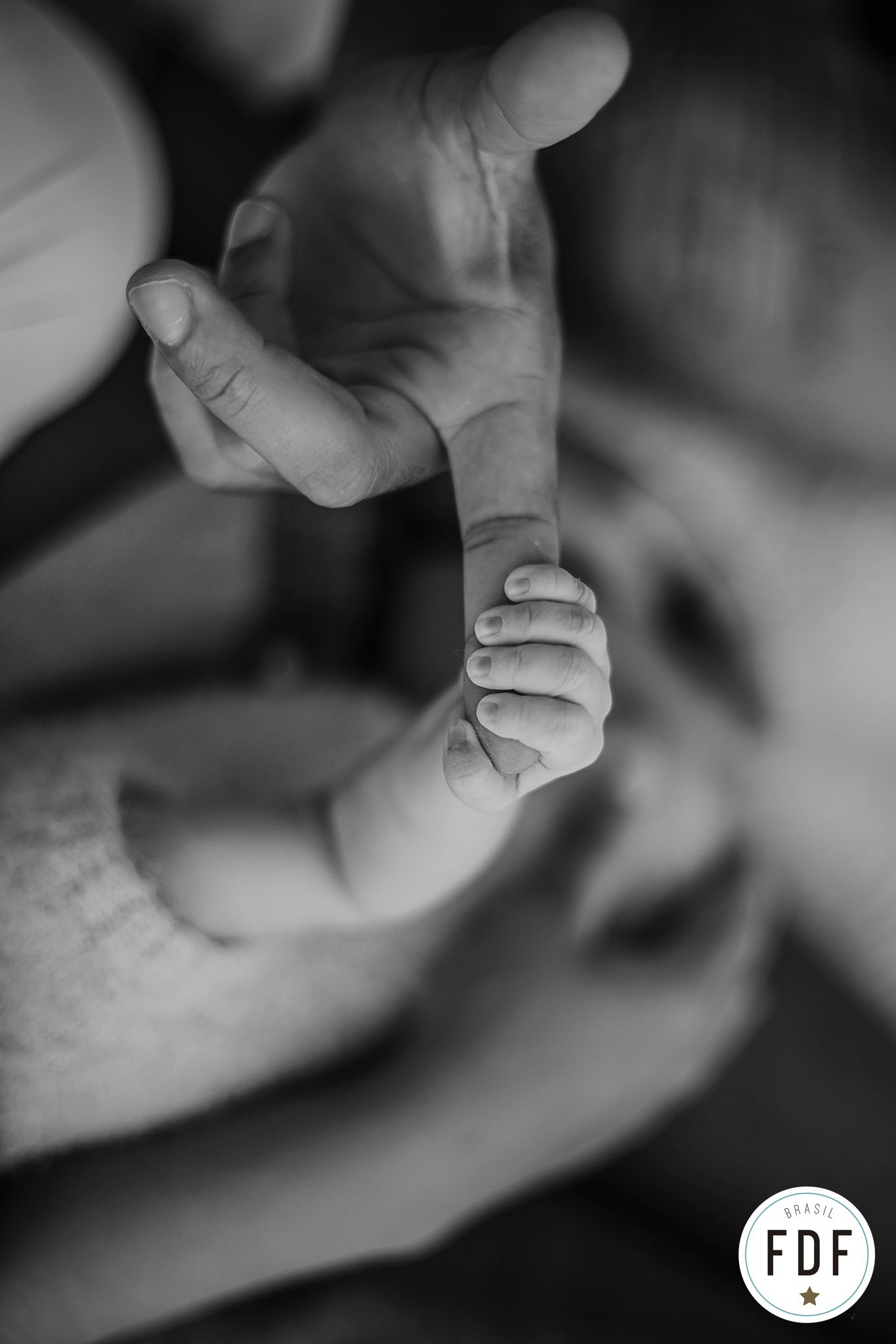 10º concurso FDF - 8 - 0