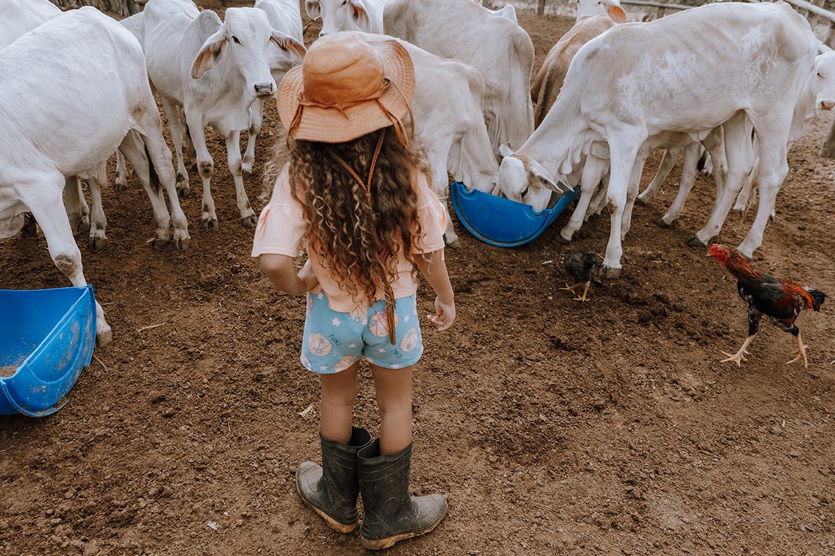 11º concurso FDF - 10 - 4