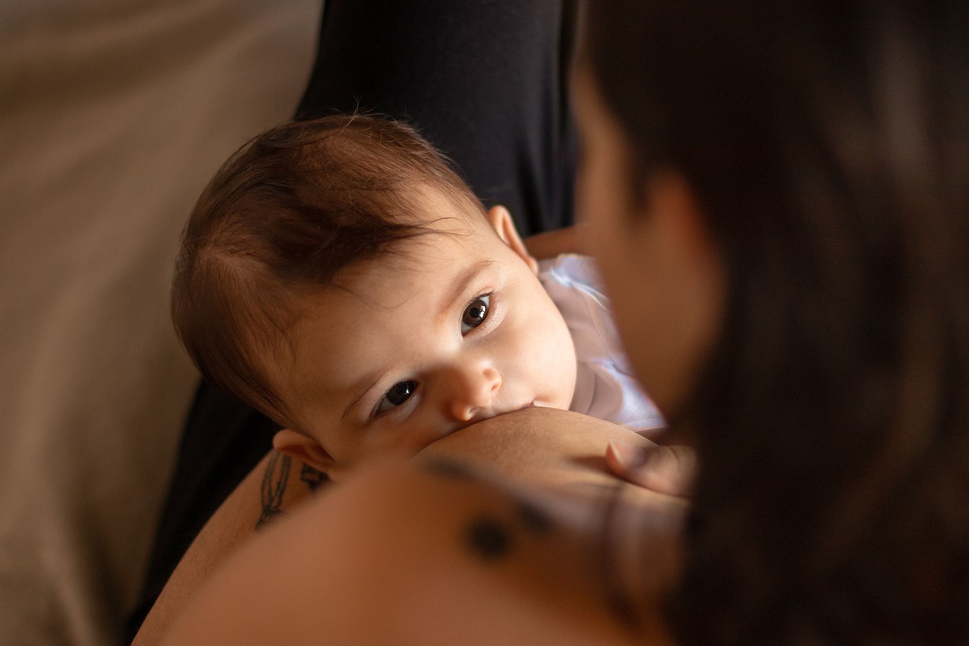 11º concurso FDF - 10 - 2