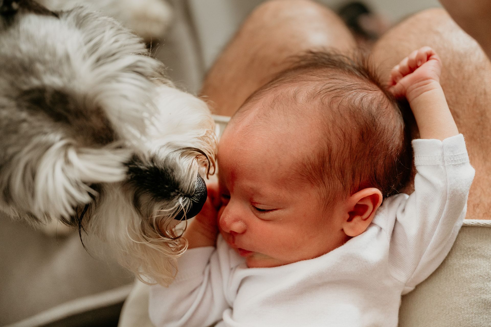 11º concurso FDF - 10 - 4