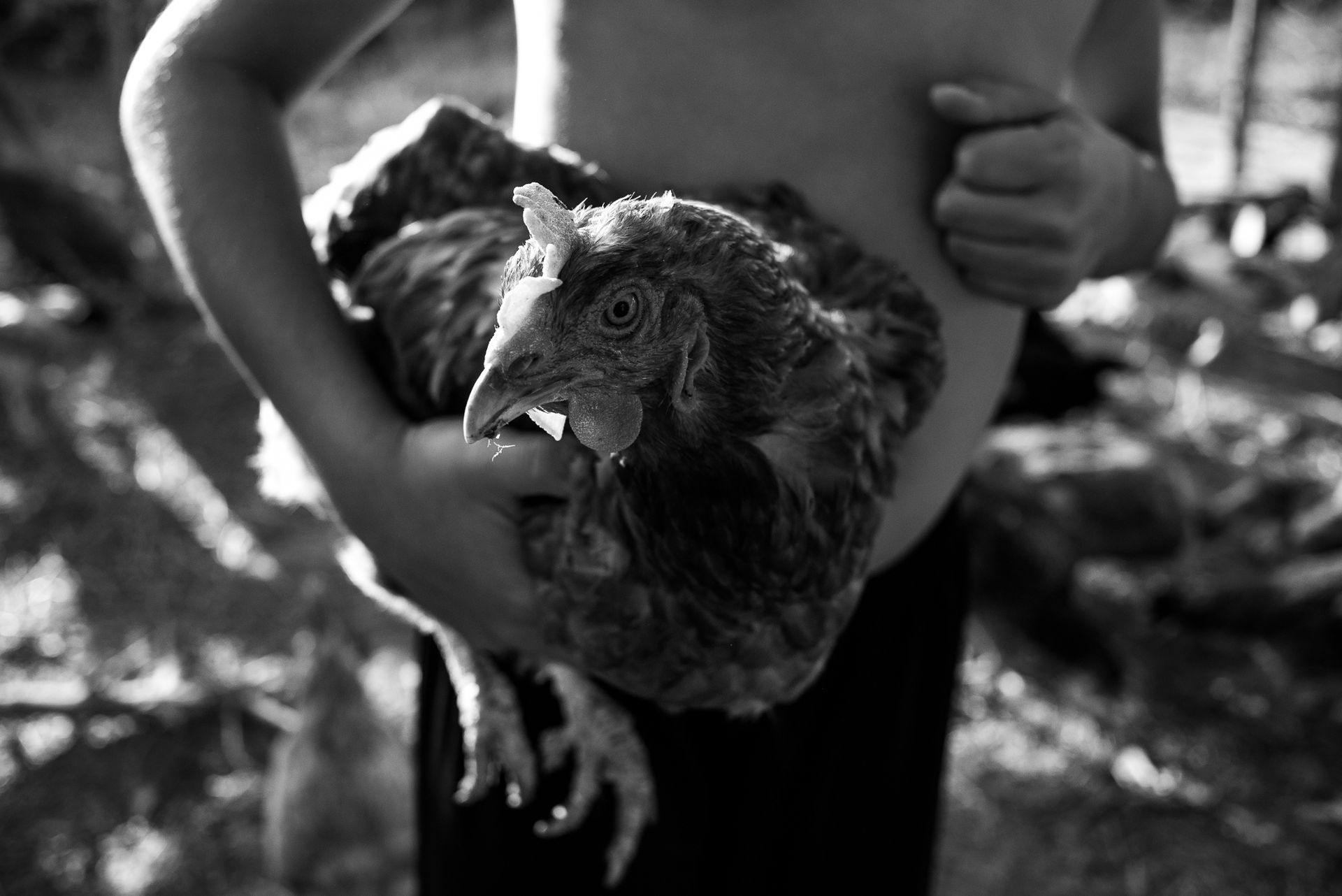 12º concurso FDF - 12 - 3