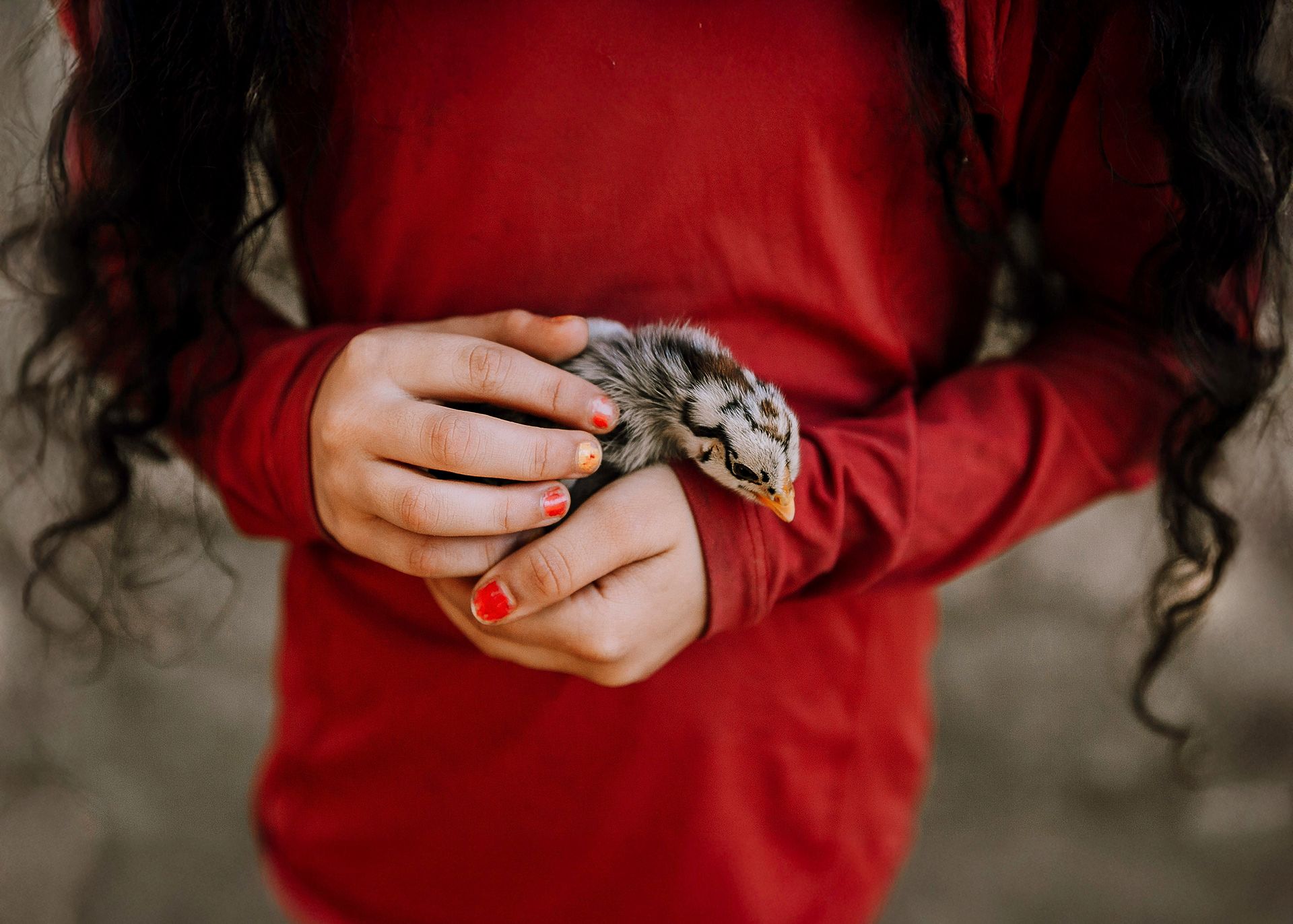 12º concurso FDF - 12 - 1