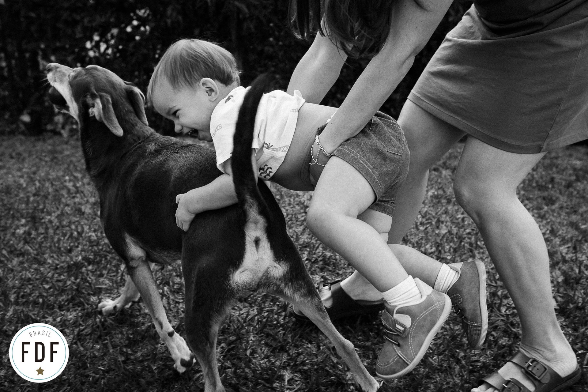 Amanda Coimbra - Belo Horizonte - MG - 5