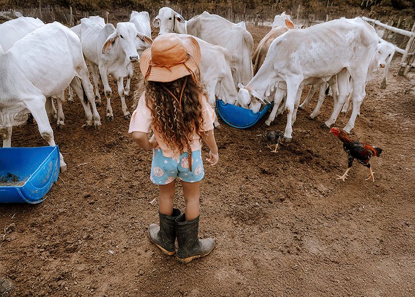 12º concurso FDF - 12 - 0