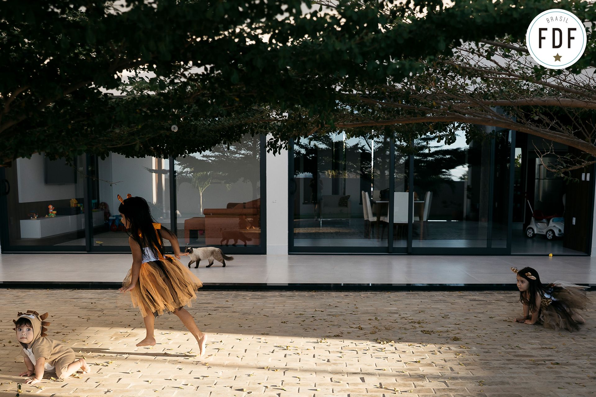 12º concurso FDF - 6 - 0