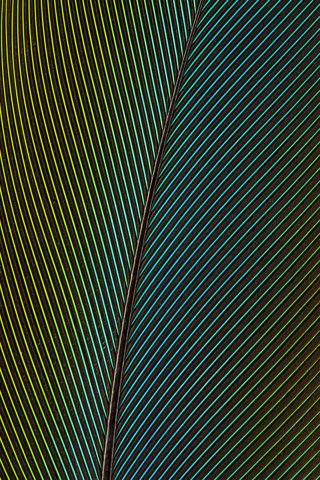 Coleção Palette - parceria com @ruyfotografo - 1 - 2