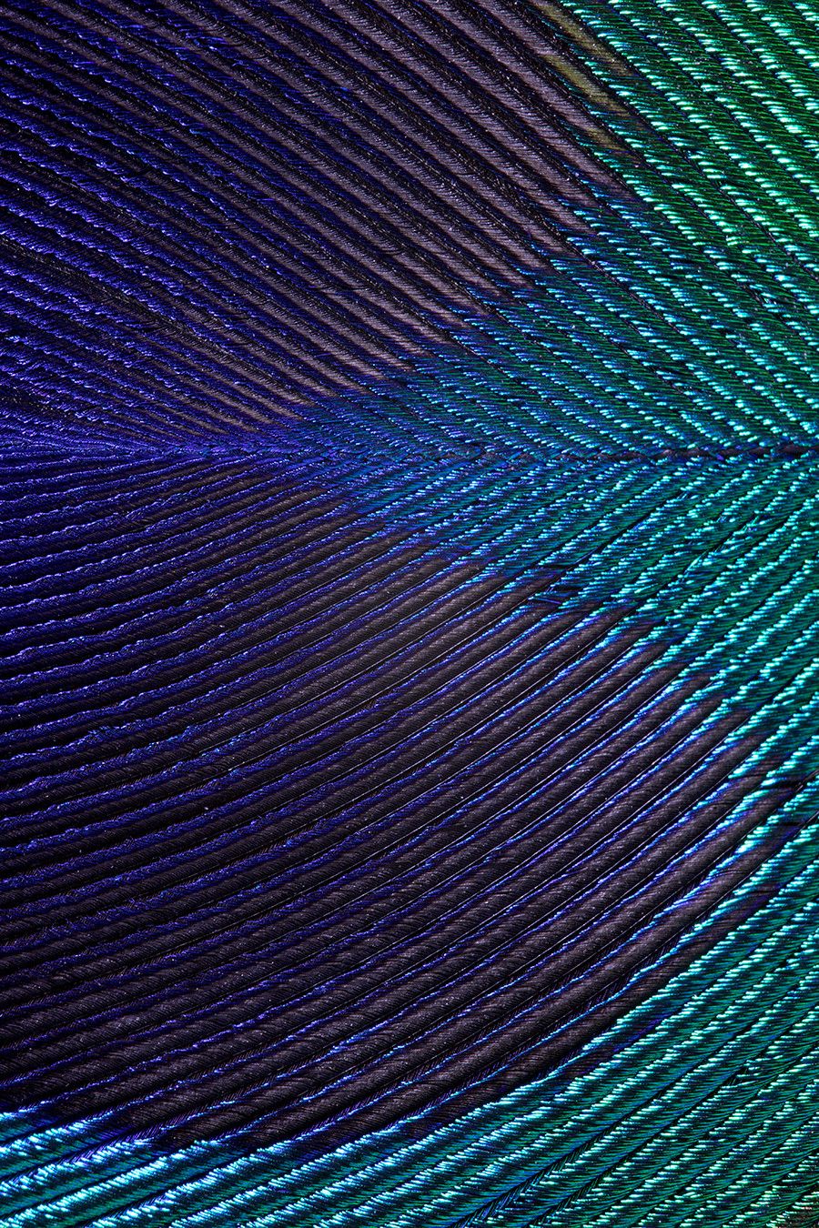 Coleção Palette - parceria com @ruyfotografo - 1 - 6