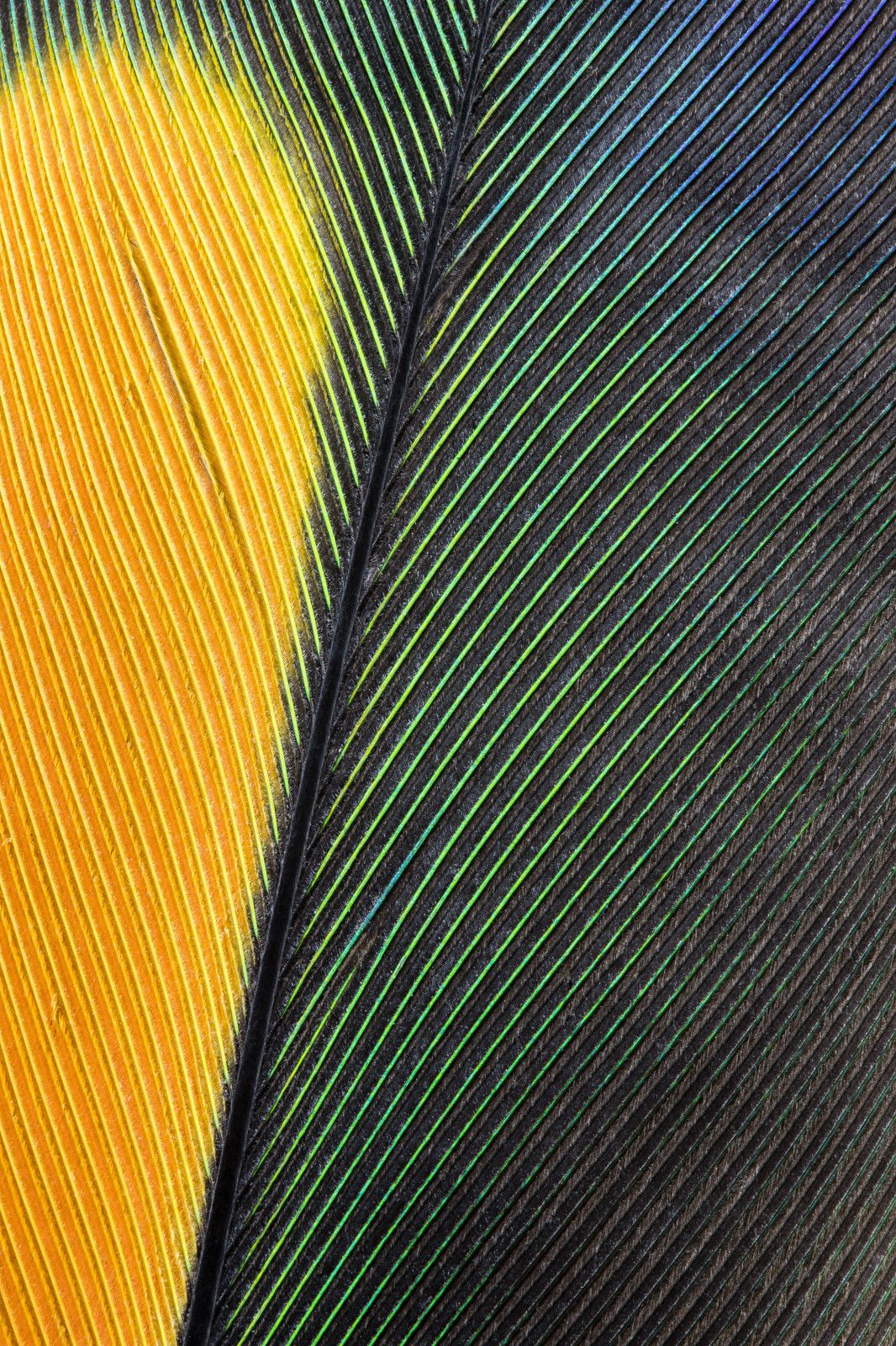 Coleção Palette - parceria com @ruyfotografo - 1 - 4