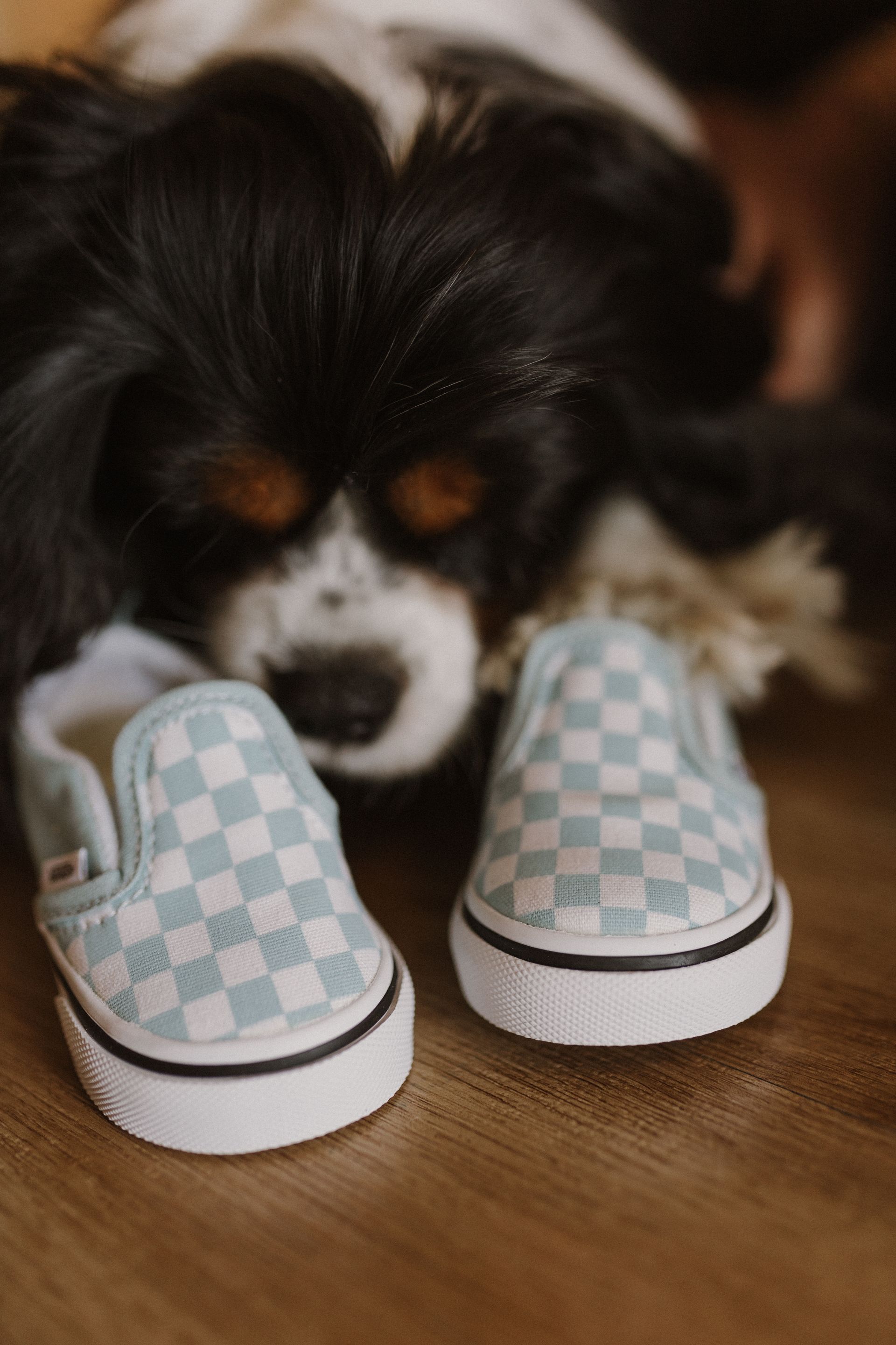 Julia e Fer à espera do Bento - 2 - 12