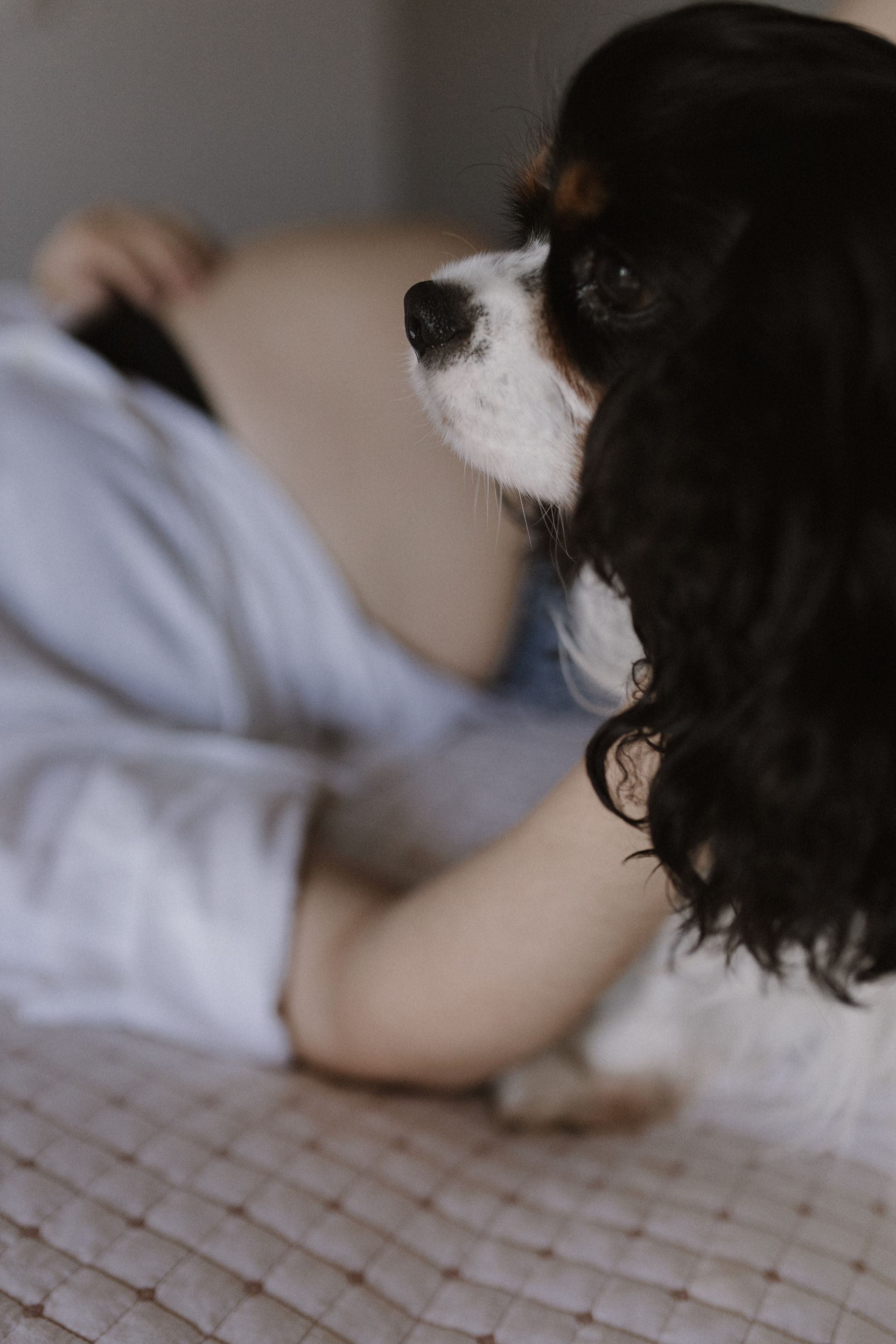 Julia e Fer à espera do Bento - 2 - 5