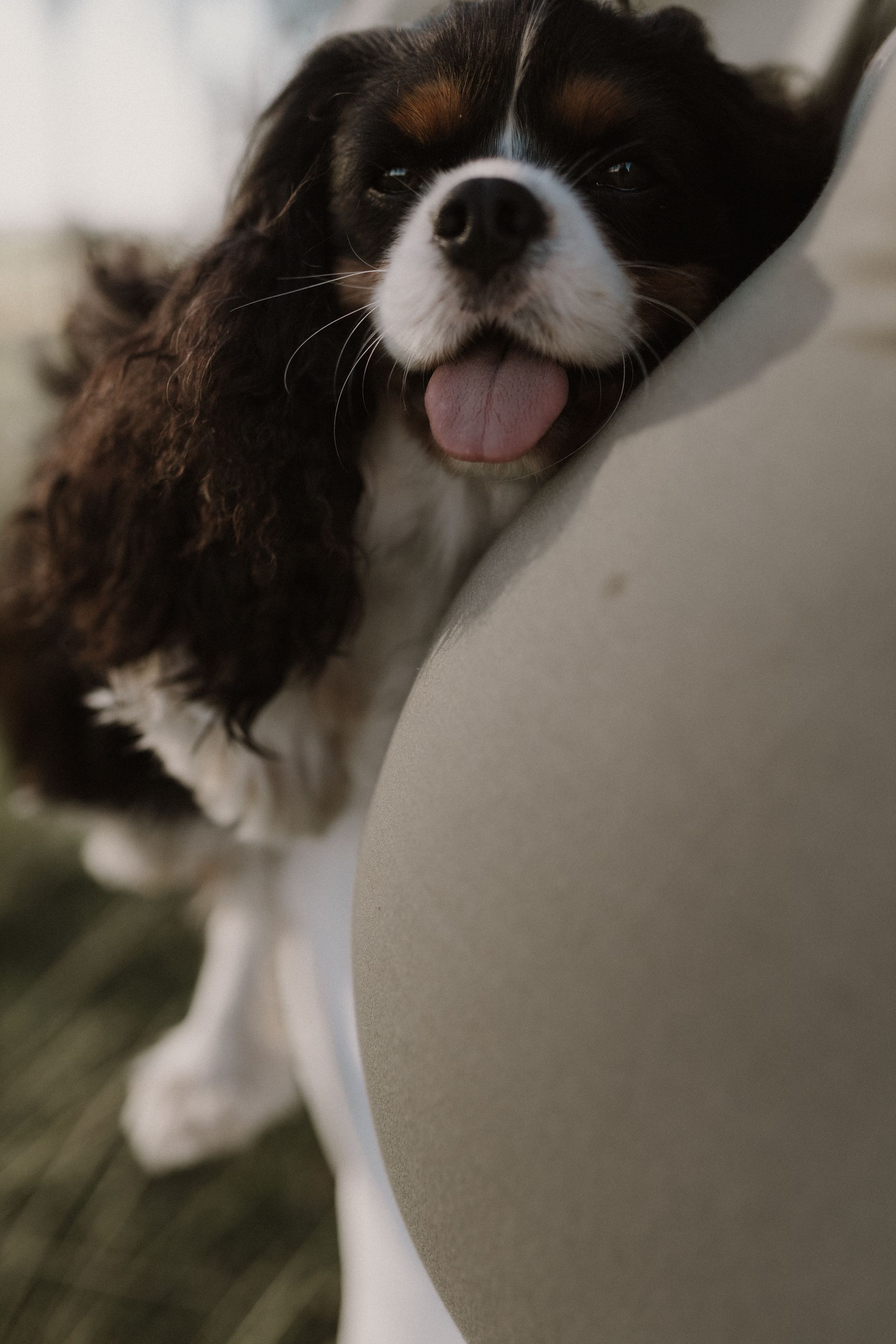 Julia e Fer à espera do Bento - 2 - 9