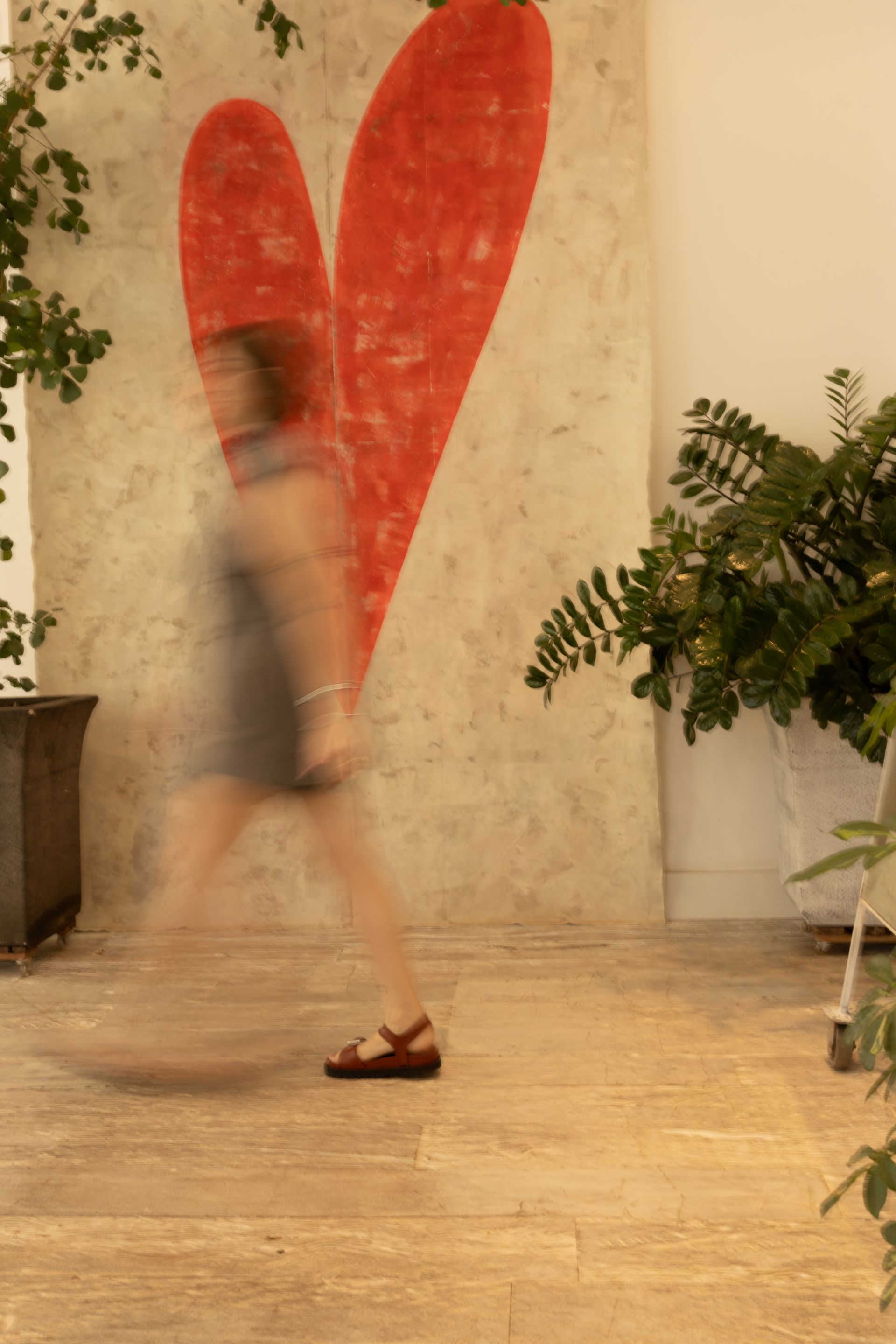 Posicionamento de Imagem - 2 - 0