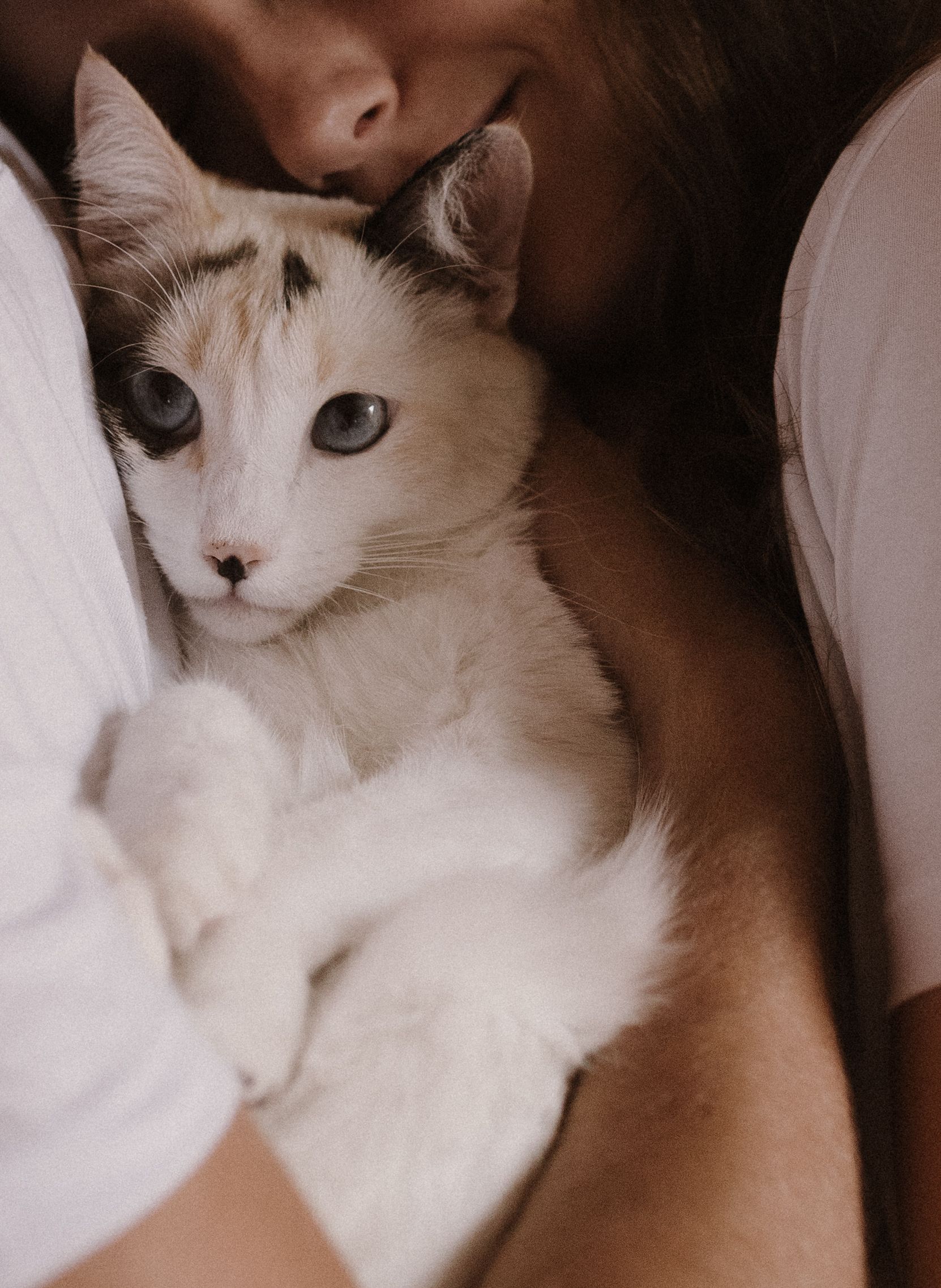 Luiza e Gustavo - 2 - 7