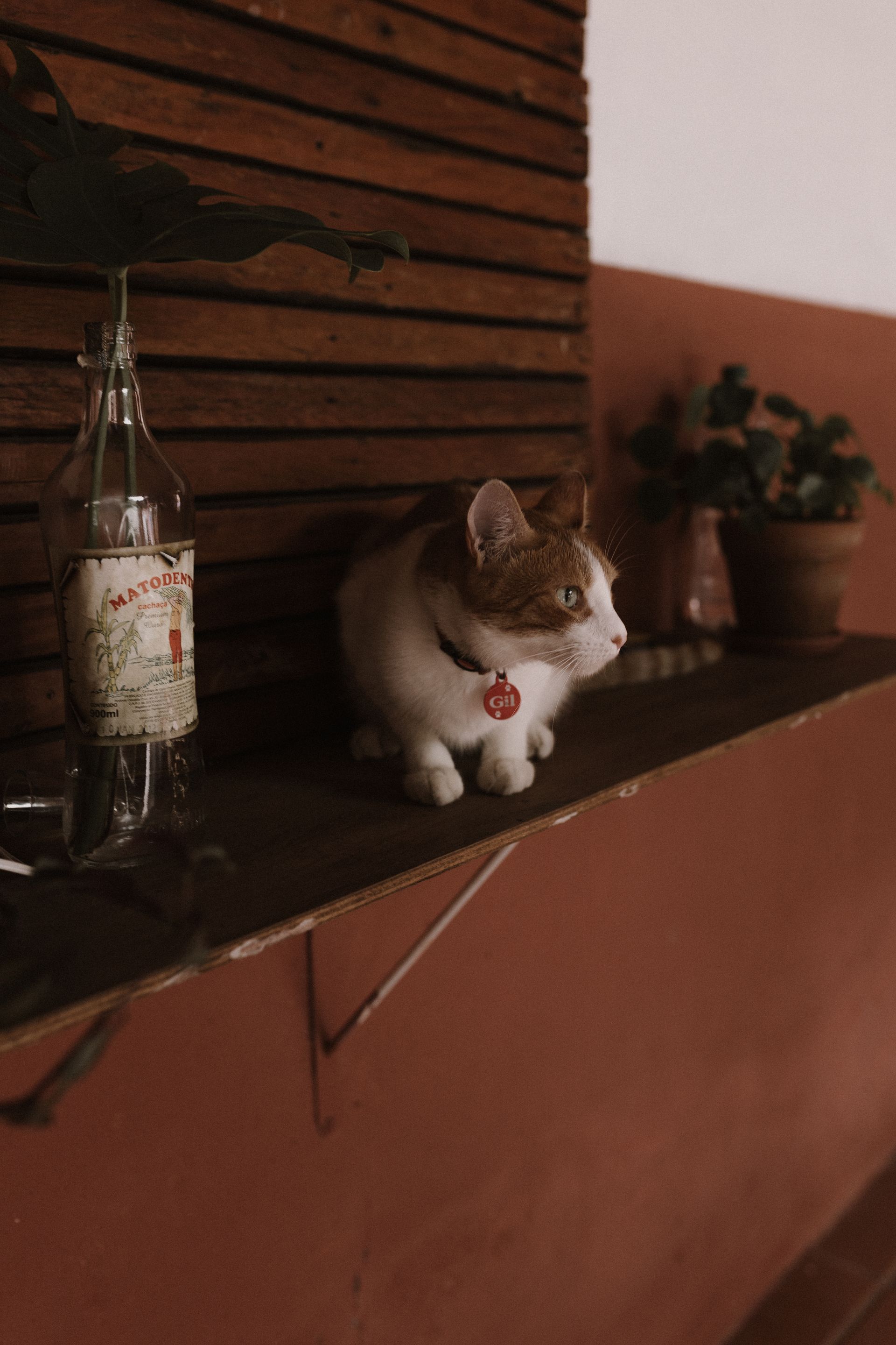 Luiza e Gustavo - 2 - 59