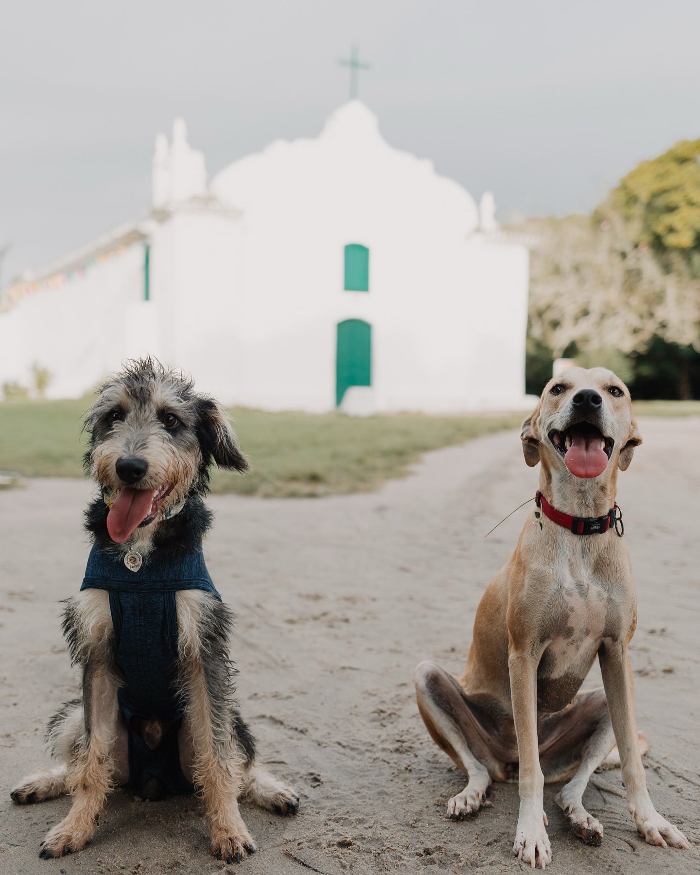 O meu olhar viaja o mundo e nele tudo cabe - 3 - 2