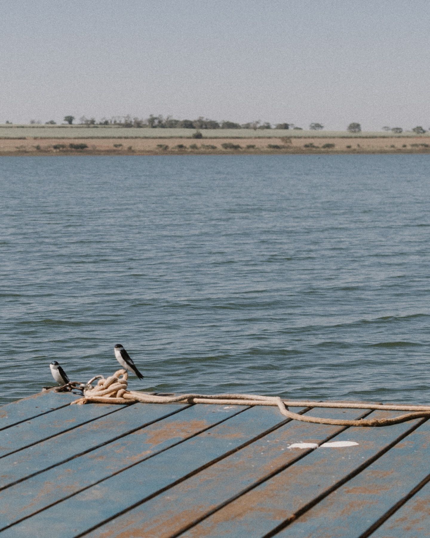 Mari e Leandro - 3 - 2