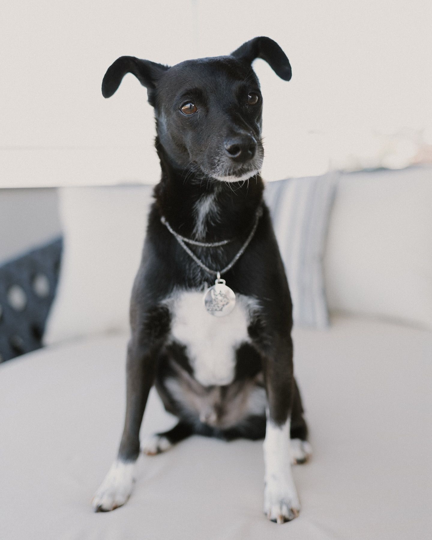 Mari e Leandro - 3 - 13