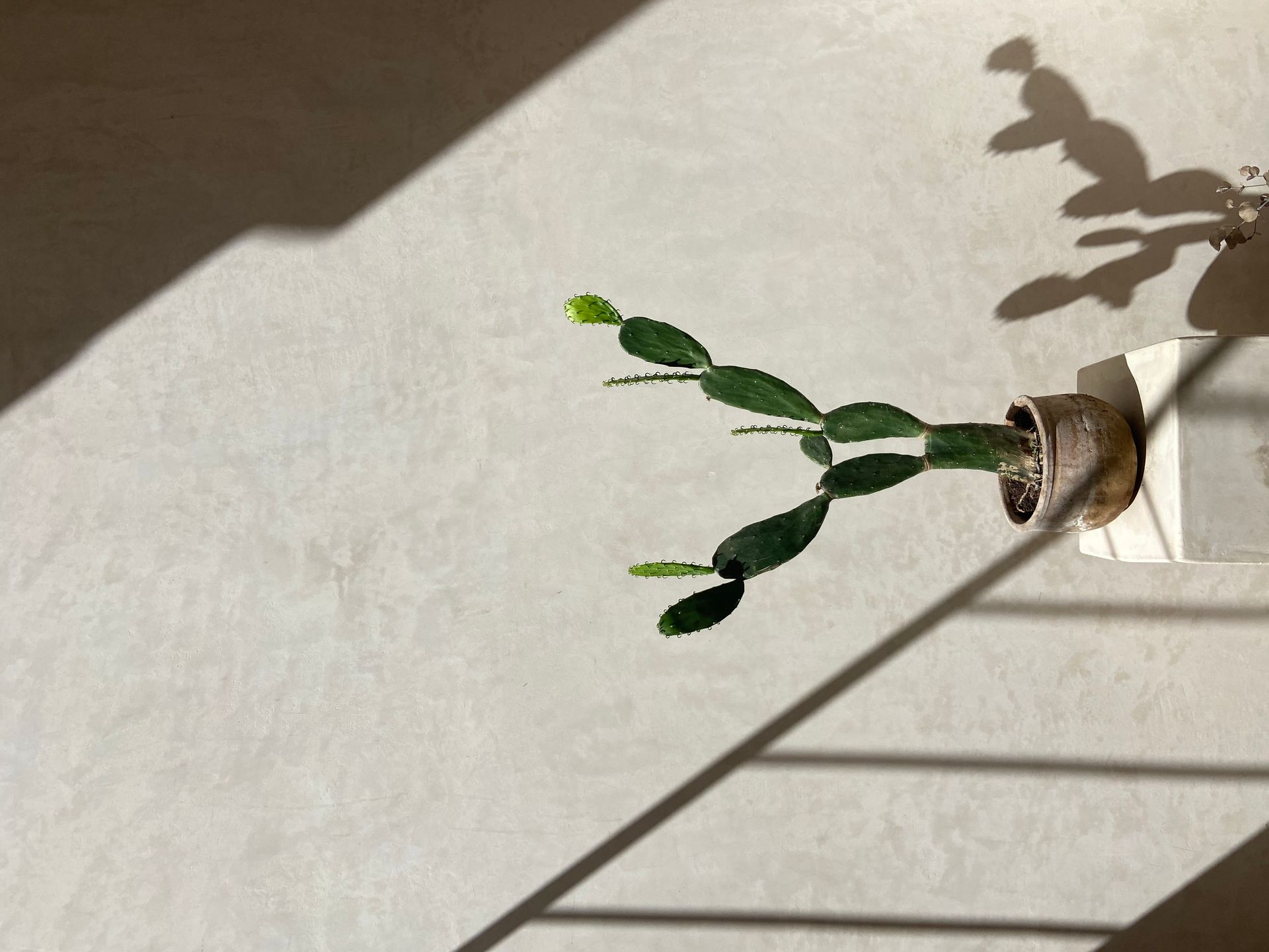 Chukum: Fotos de inspiração - 3