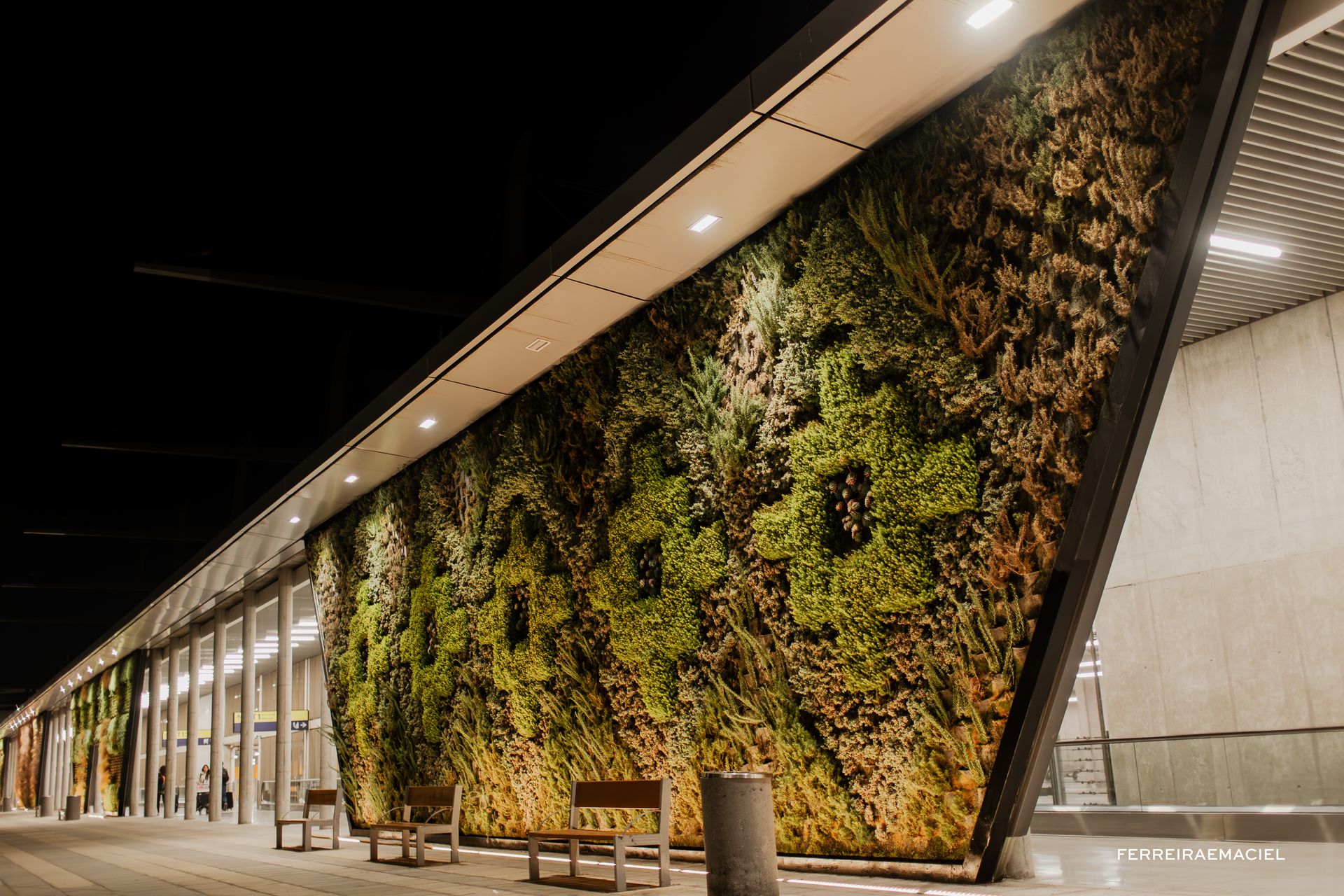 Patagonia - Parte Um - Fotografando um casamento em Torres del Paine - Chile - 4 - 2