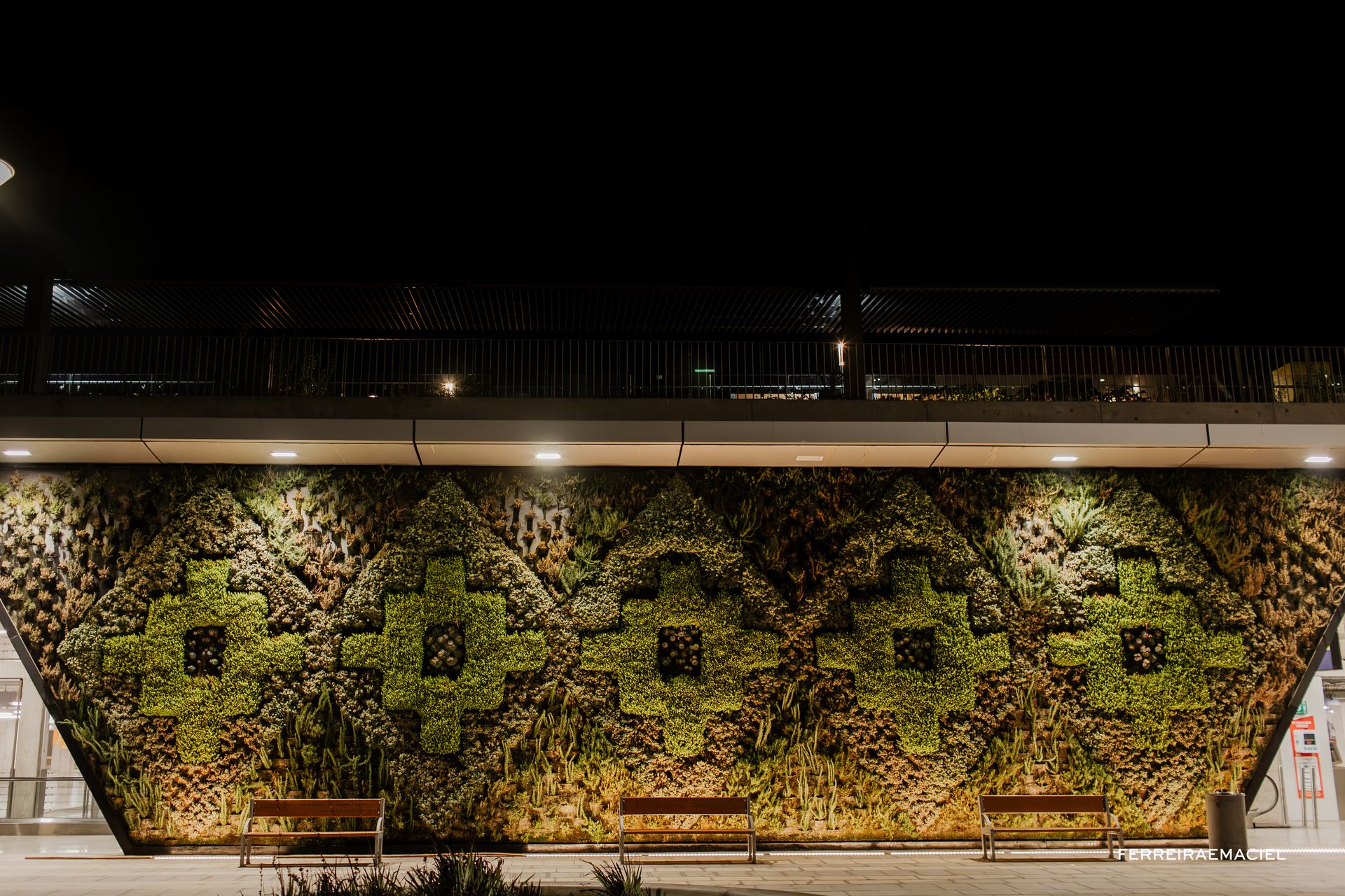 Patagonia - Parte Um - Fotografando um casamento em Torres del Paine - Chile - 4 - 3