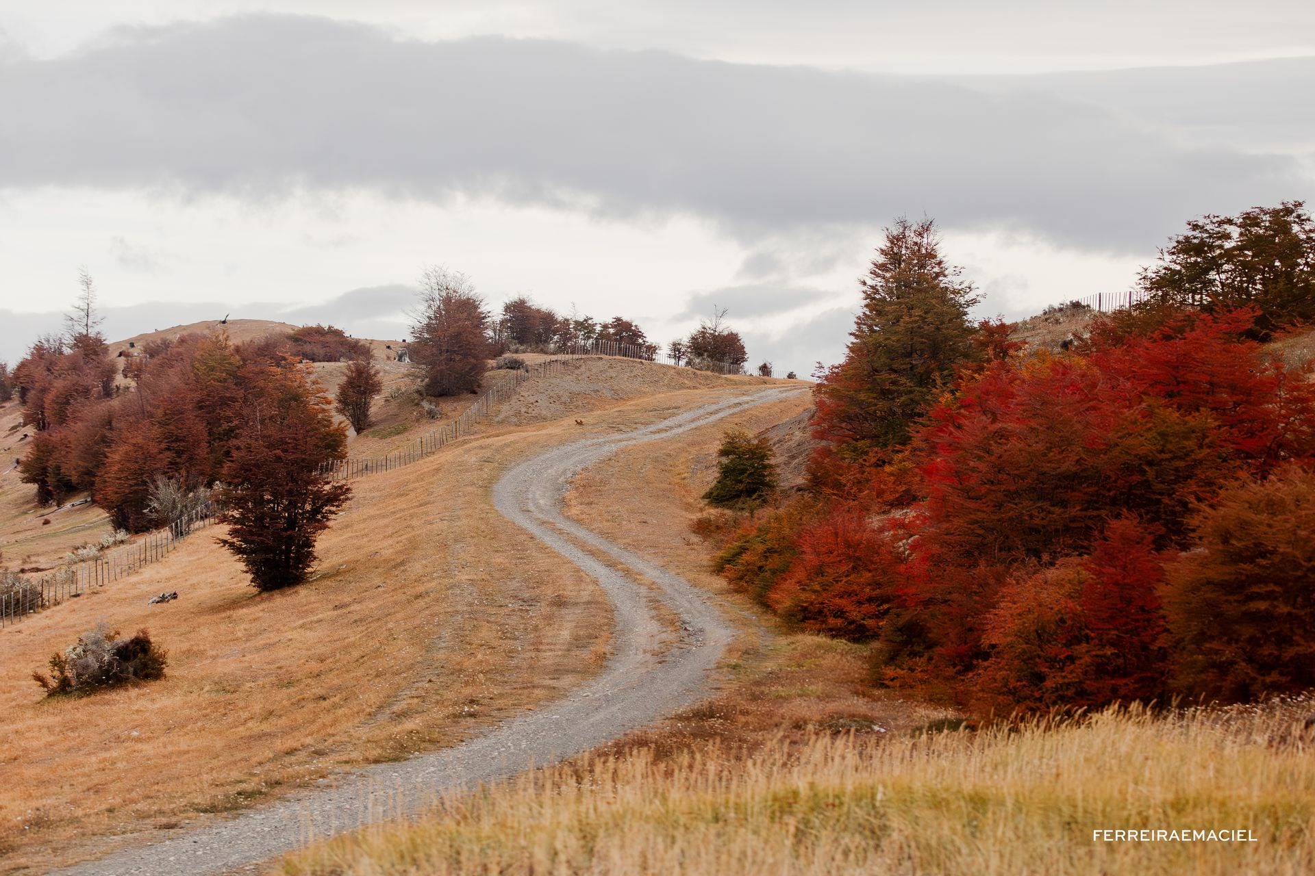 Patagonia - Parte Um - Fotografando um casamento em Torres del Paine - Chile - 24 - 3