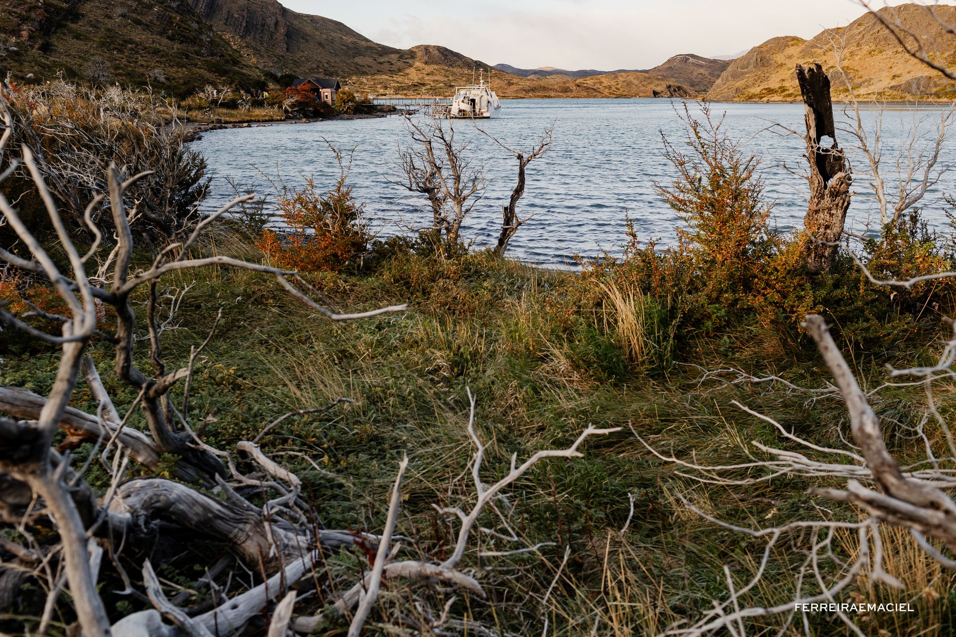 Patagonia - Parte Um - Fotografando um casamento em Torres del Paine - Chile - 46 - 3