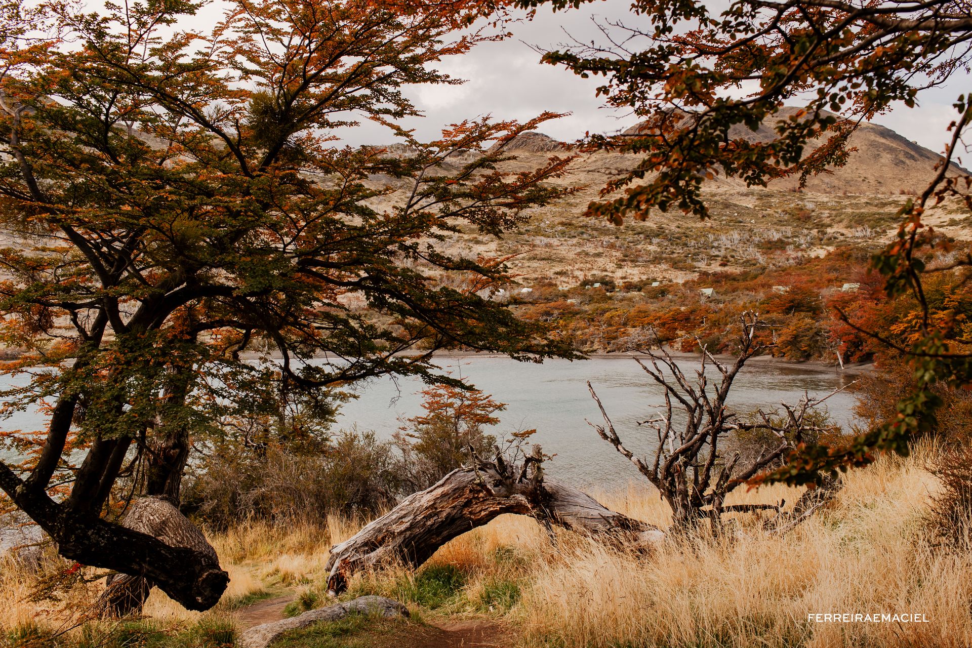 Patagonia - Parte Um - Fotografando um casamento em Torres del Paine - Chile - 67 - 5