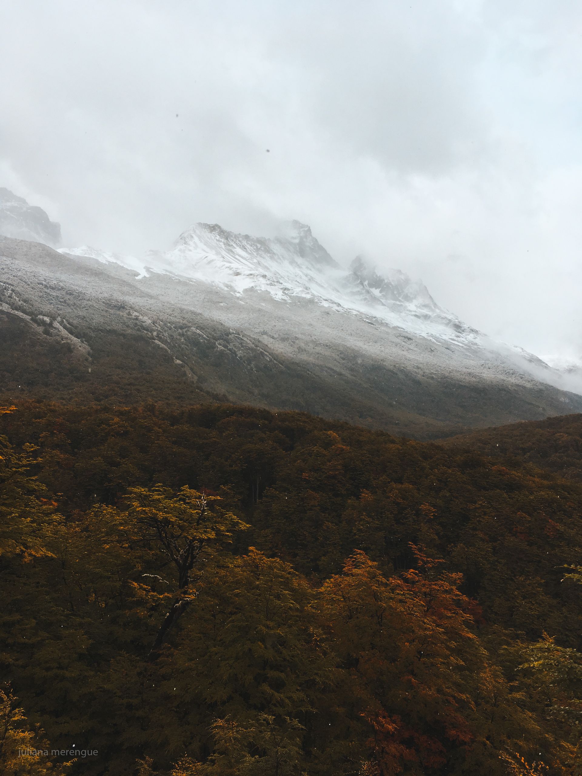 Torres del Paine - Circuito O - 8 - 15